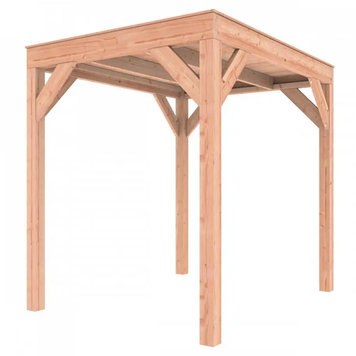 Outdoor Life Douglas Overkapping 200x250