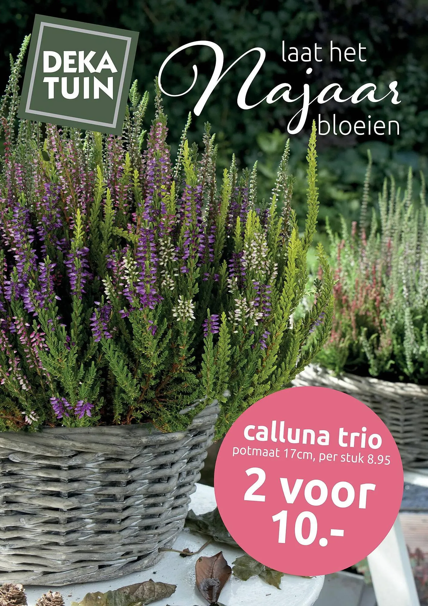 Deka Tuin folder van 29 september tot 12 oktober 2025 - Folder pagina 1