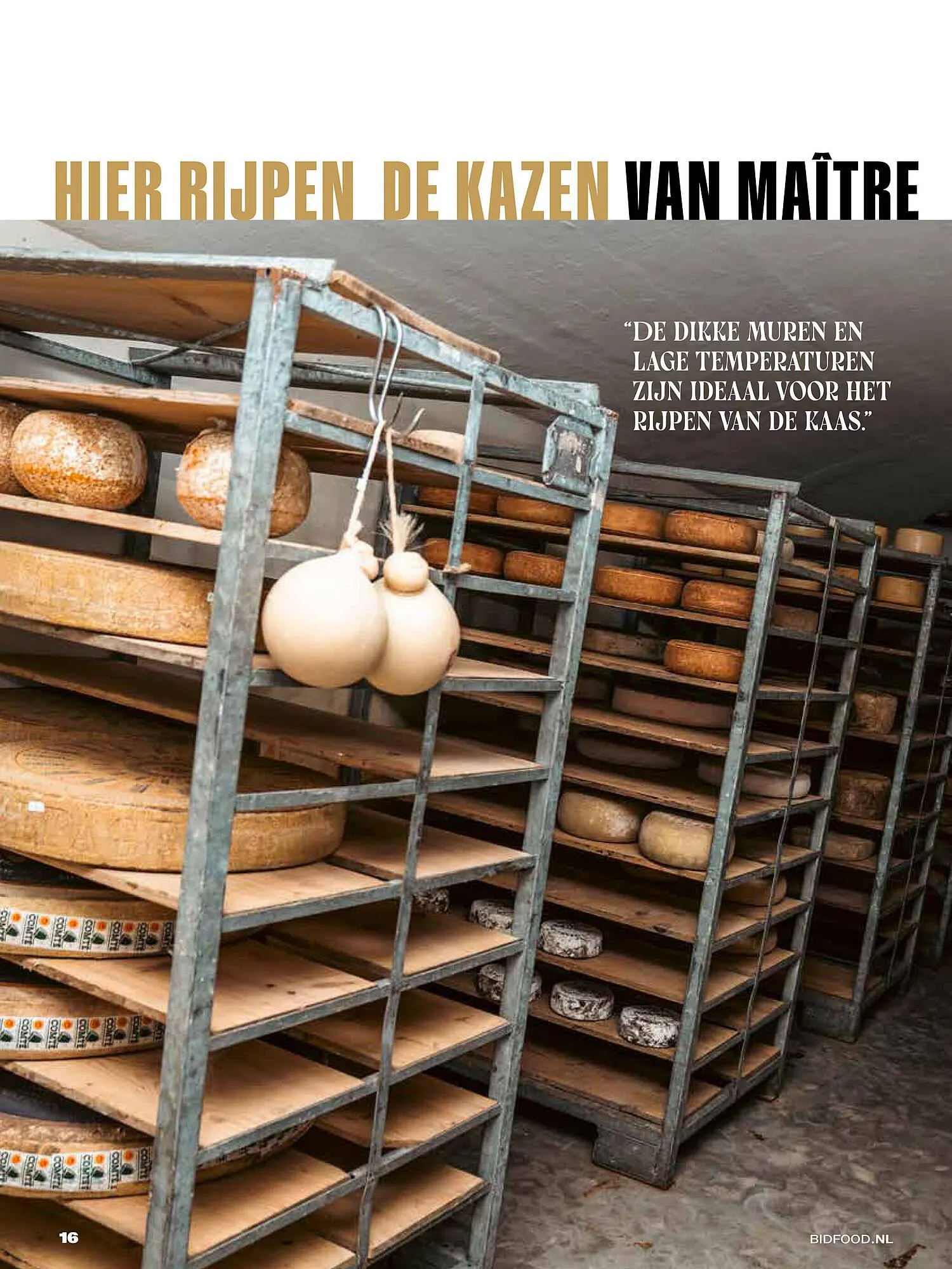 Bidfood folder van 1 november tot 31 januari 2026 - Folder pagina 16