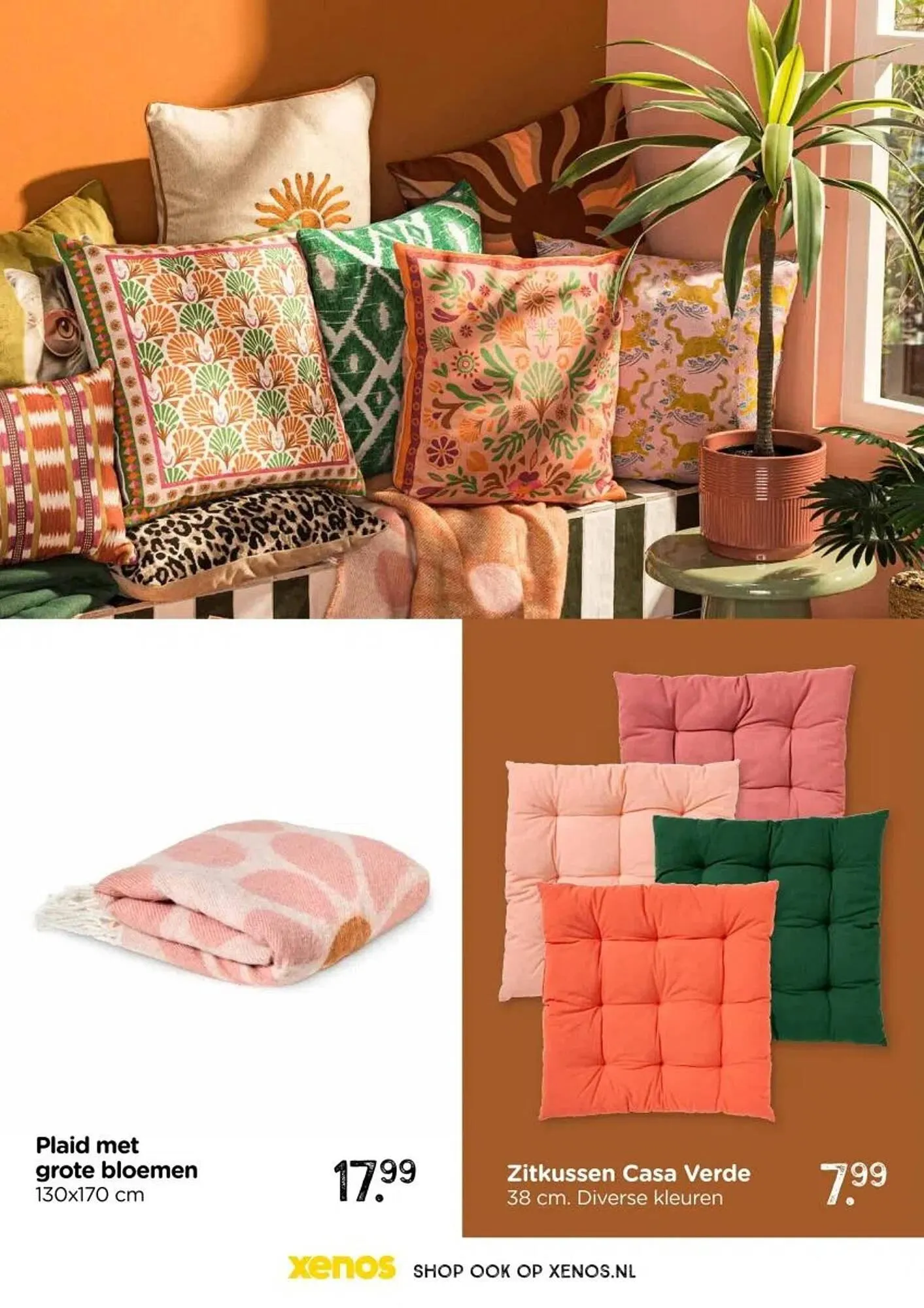 Xenos folder van 19 januari tot 19 april 2026 - Folder pagina 6