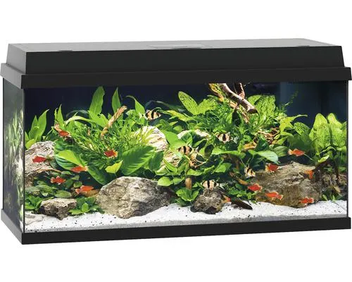 JUWEL Aquarium Primo LED zwart 110 L, 81x36x45 cm