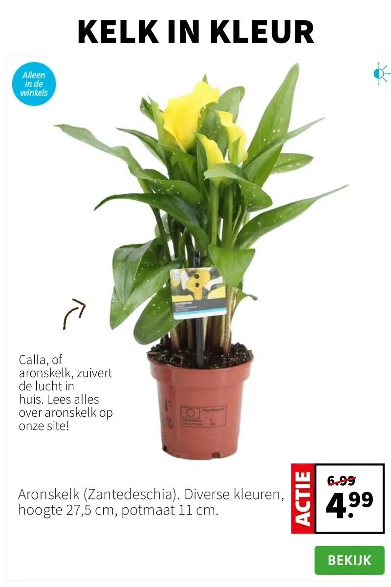 Intratuin folder van 7 april tot 13 april 2025 - Folder pagina 2