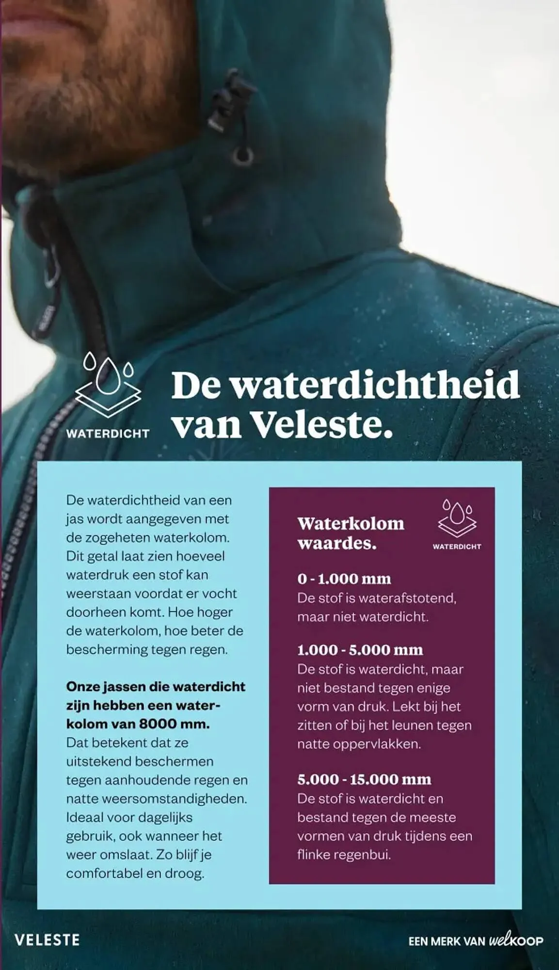 Veleste magazine van 18 februari tot 29 maart 2026 - Folder pagina 19