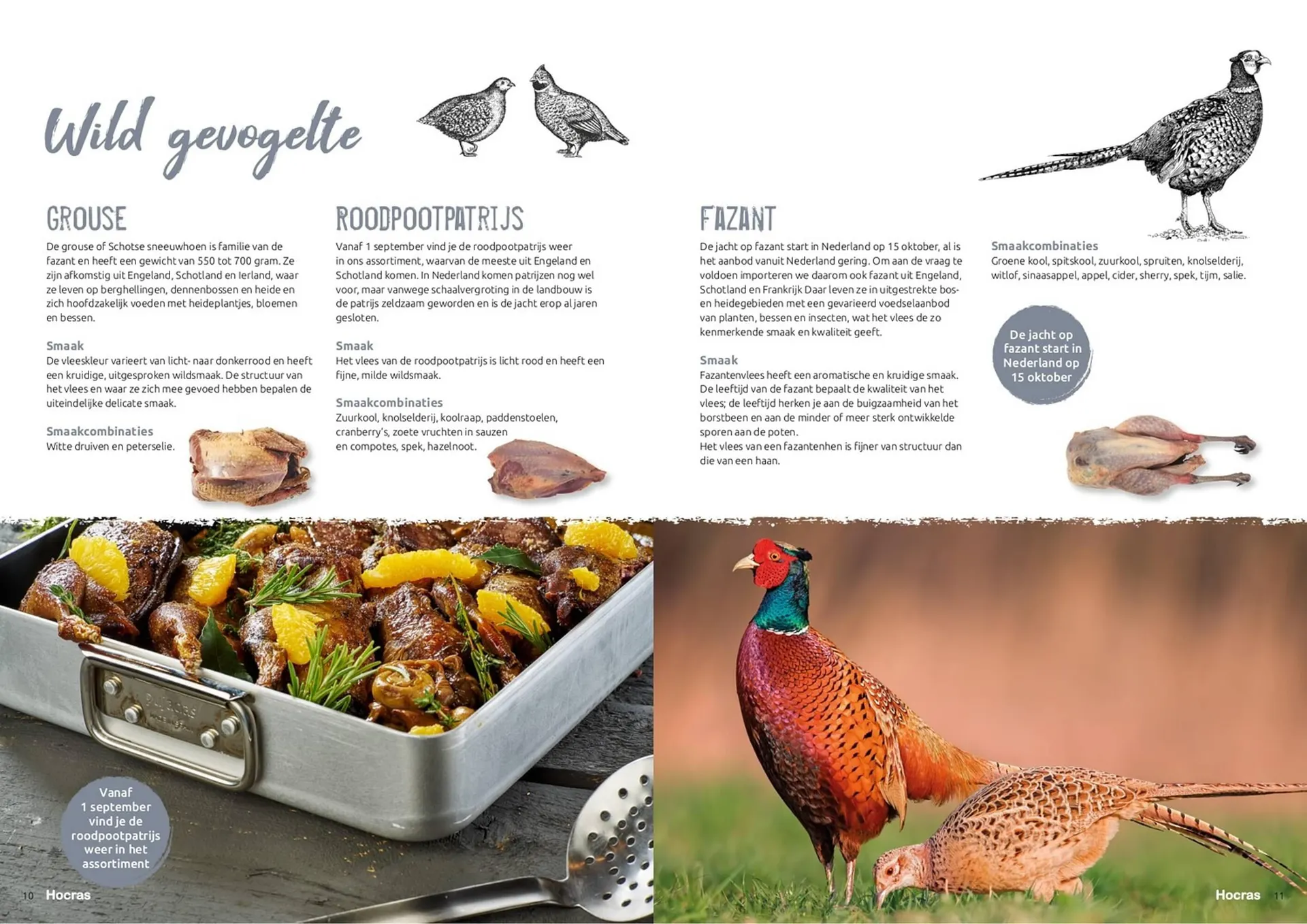 Hocras folder van 15 februari tot 31 december 2023 - Folder pagina 6