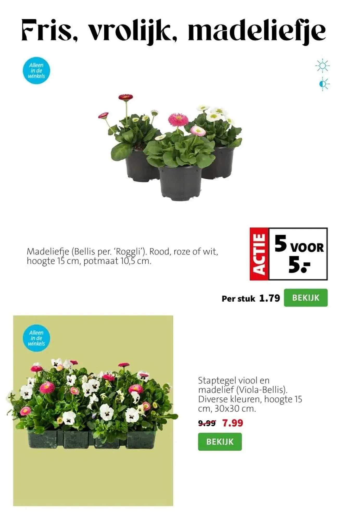 Intratuin folder van 9 maart tot 15 maart 2026 - Folder pagina 3