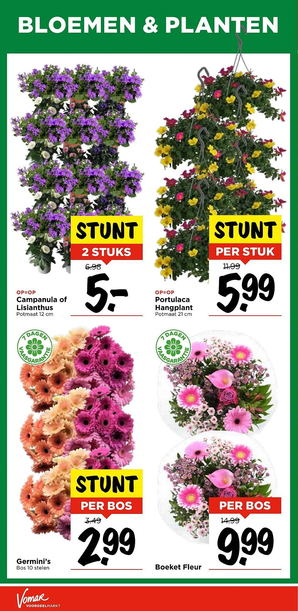 GAMMA folder van 28 juli tot 3 augustus 2025 - Folder pagina 28