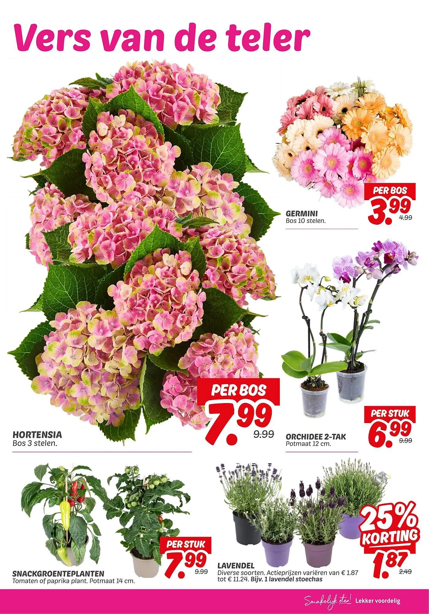 Dekamarkt folder van 10 juni tot 16 juni 2025 - Folder pagina 27