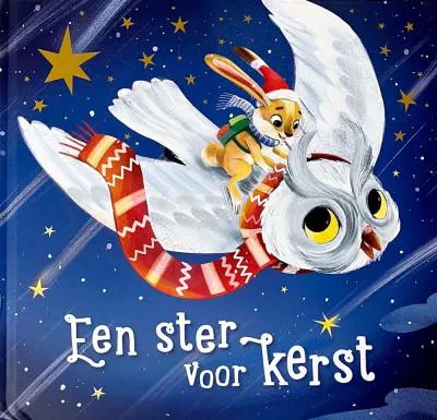 Een ster voor kerst