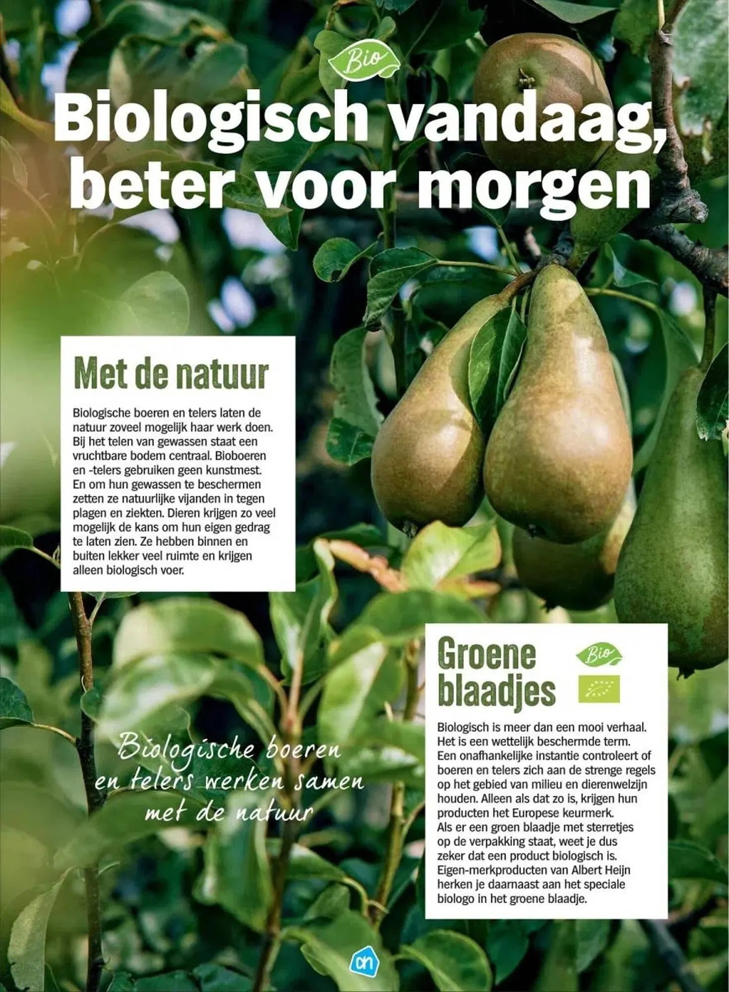 Albert Heijn Biologisch folder van 15 september tot 4 oktober 2023 - Folder pagina 2