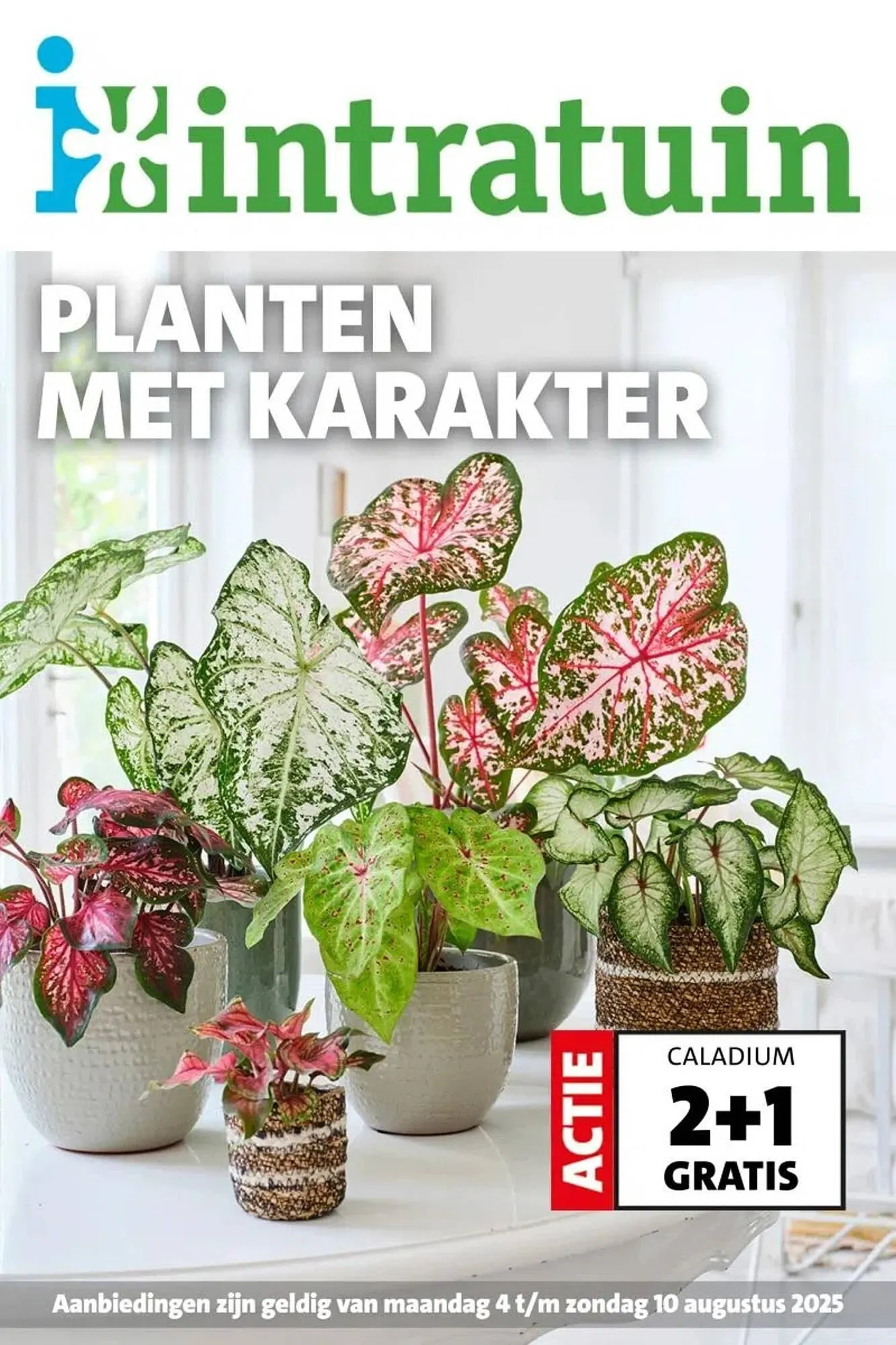 Intratuin folder van 4 augustus tot 10 augustus 2025 - Folder pagina 1