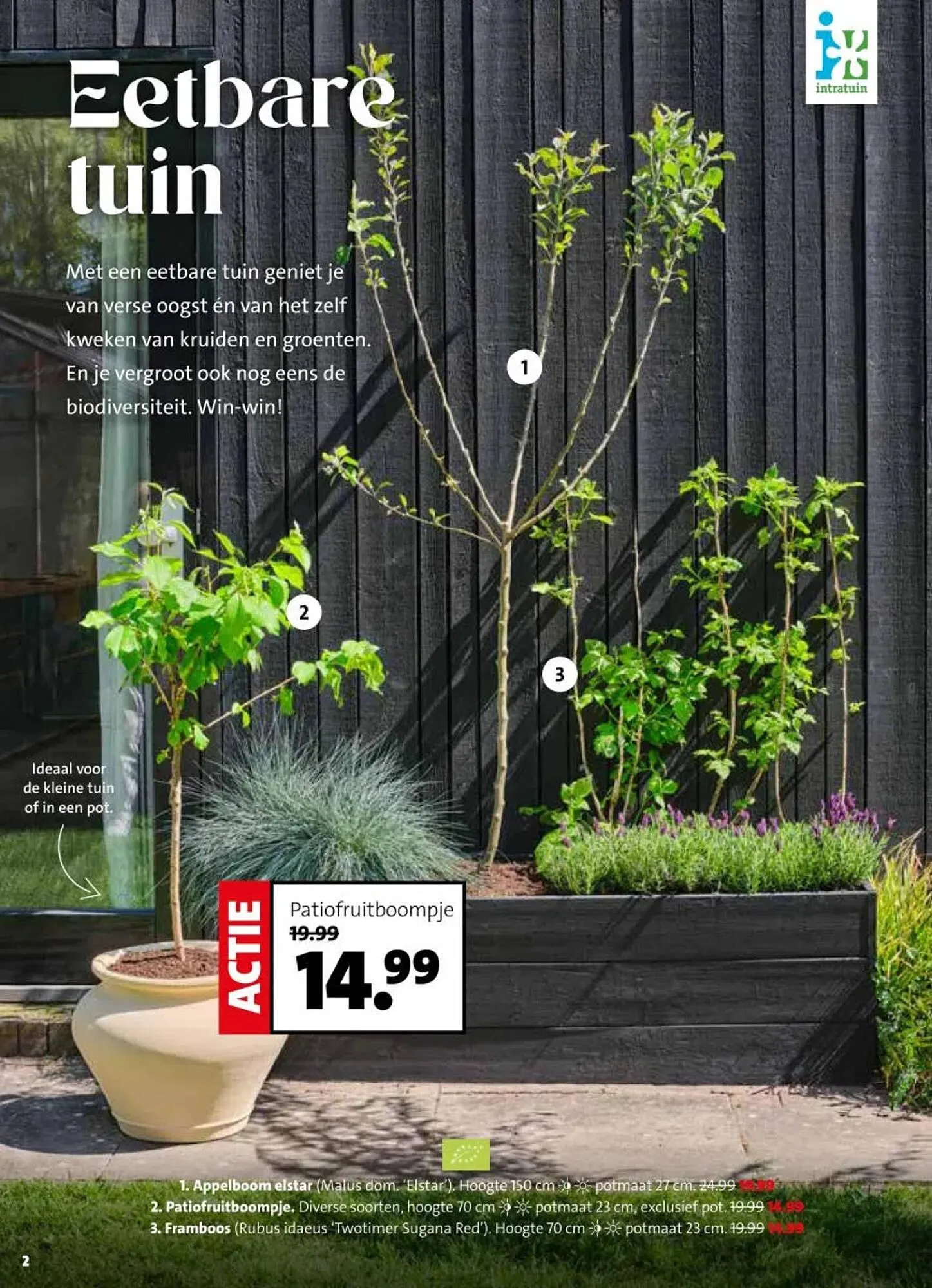 Intratuin folder van 16 maart tot 22 maart 2026 - Folder pagina 2