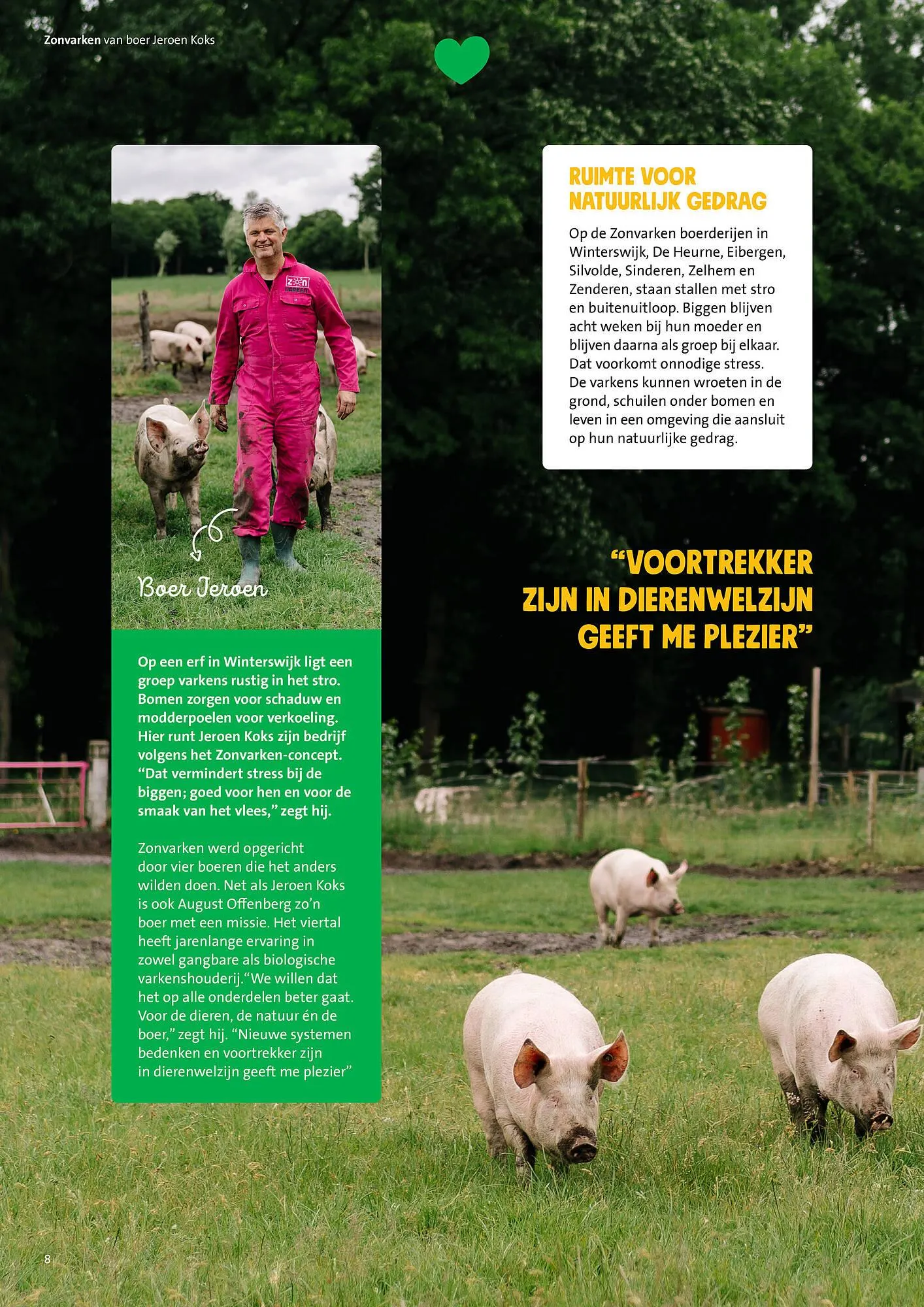 Jumbo folder van 30 juni tot 7 juli 2025 - Folder pagina 8