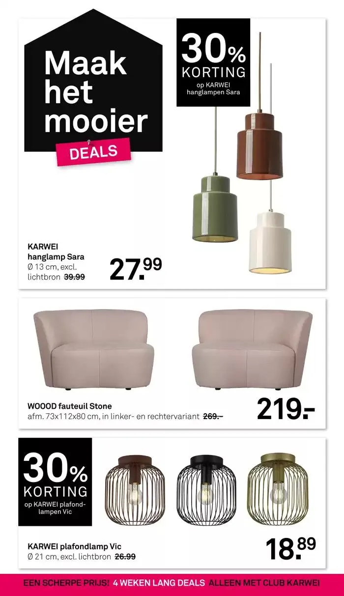 Karwei folder van 27 januari tot 10 februari 2025 - Folder pagina 21