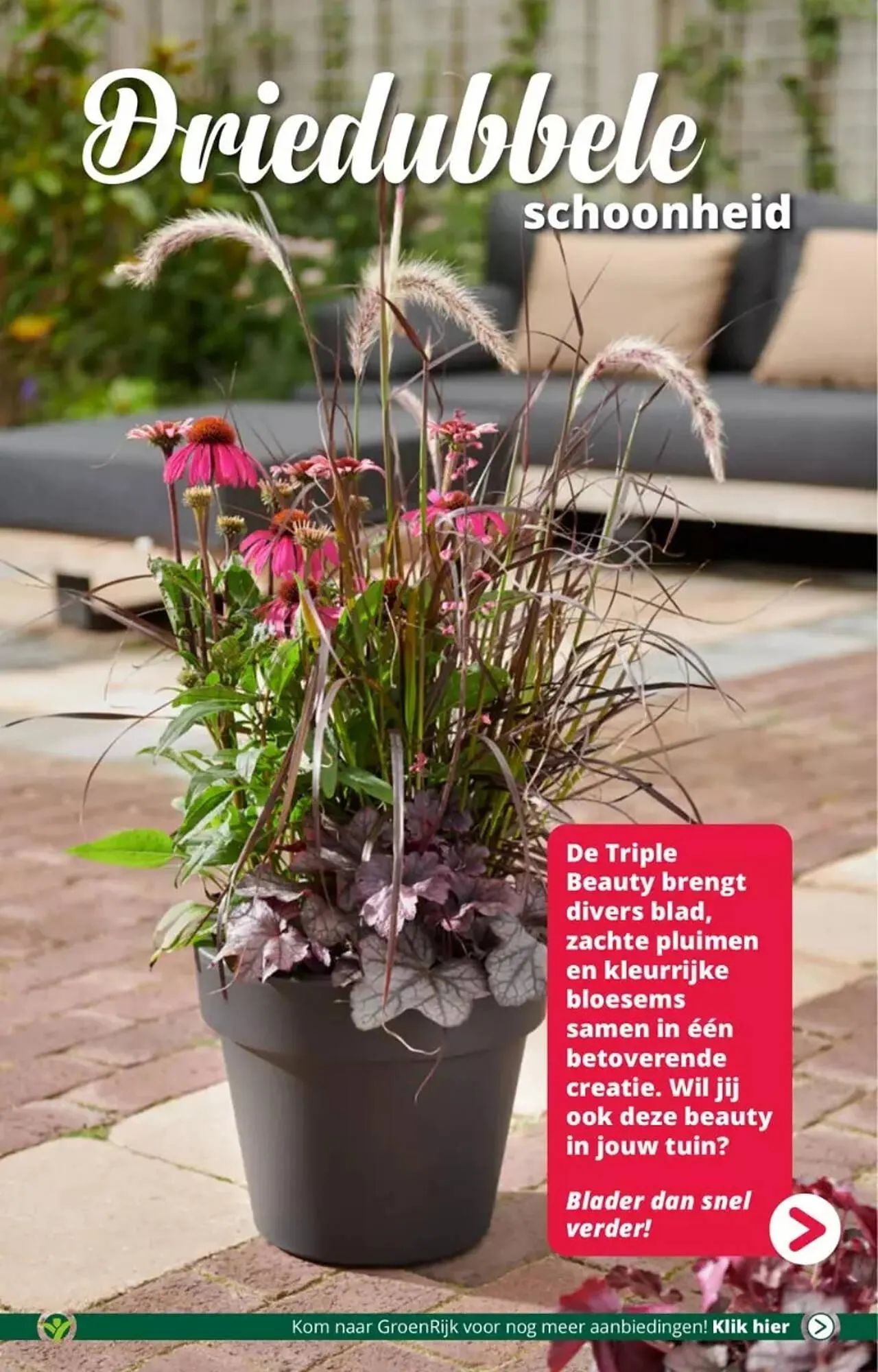 GroenRijk folder van 30 augustus tot 5 september 2023 - Folder pagina 10