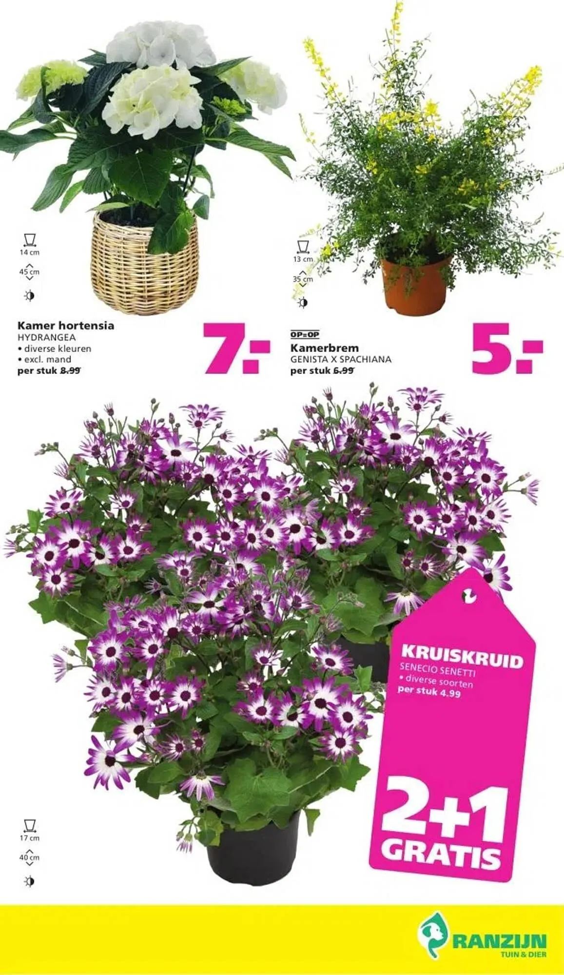 Ranzijn folder van 6 april tot 12 april 2025 - Folder pagina 3