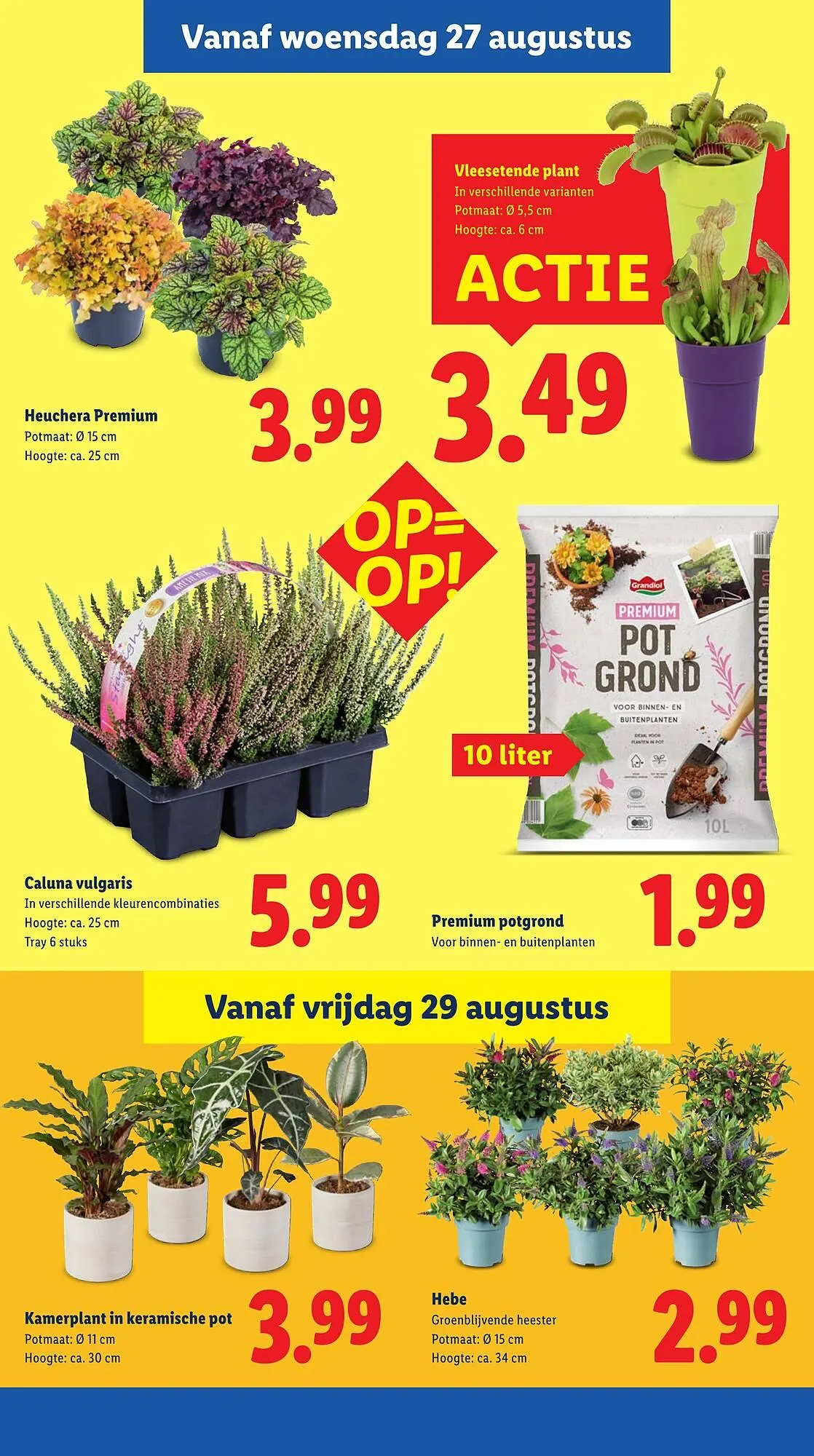 Lidl folder van 25 augustus tot 1 september 2025 - Folder pagina 19