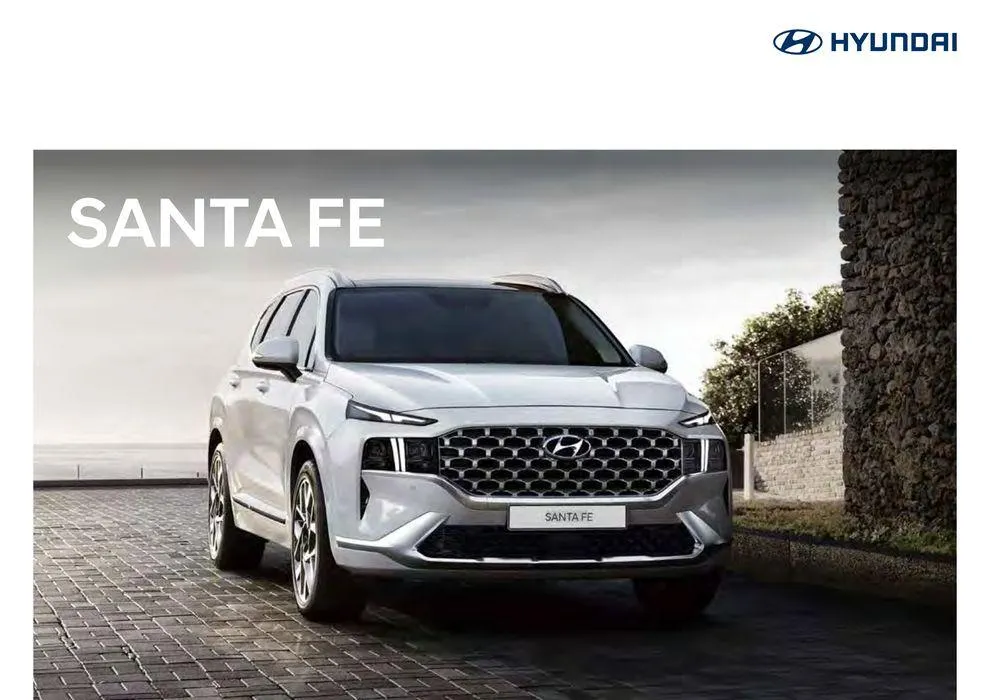 Hyundai Hyundai SANTA FE - 1