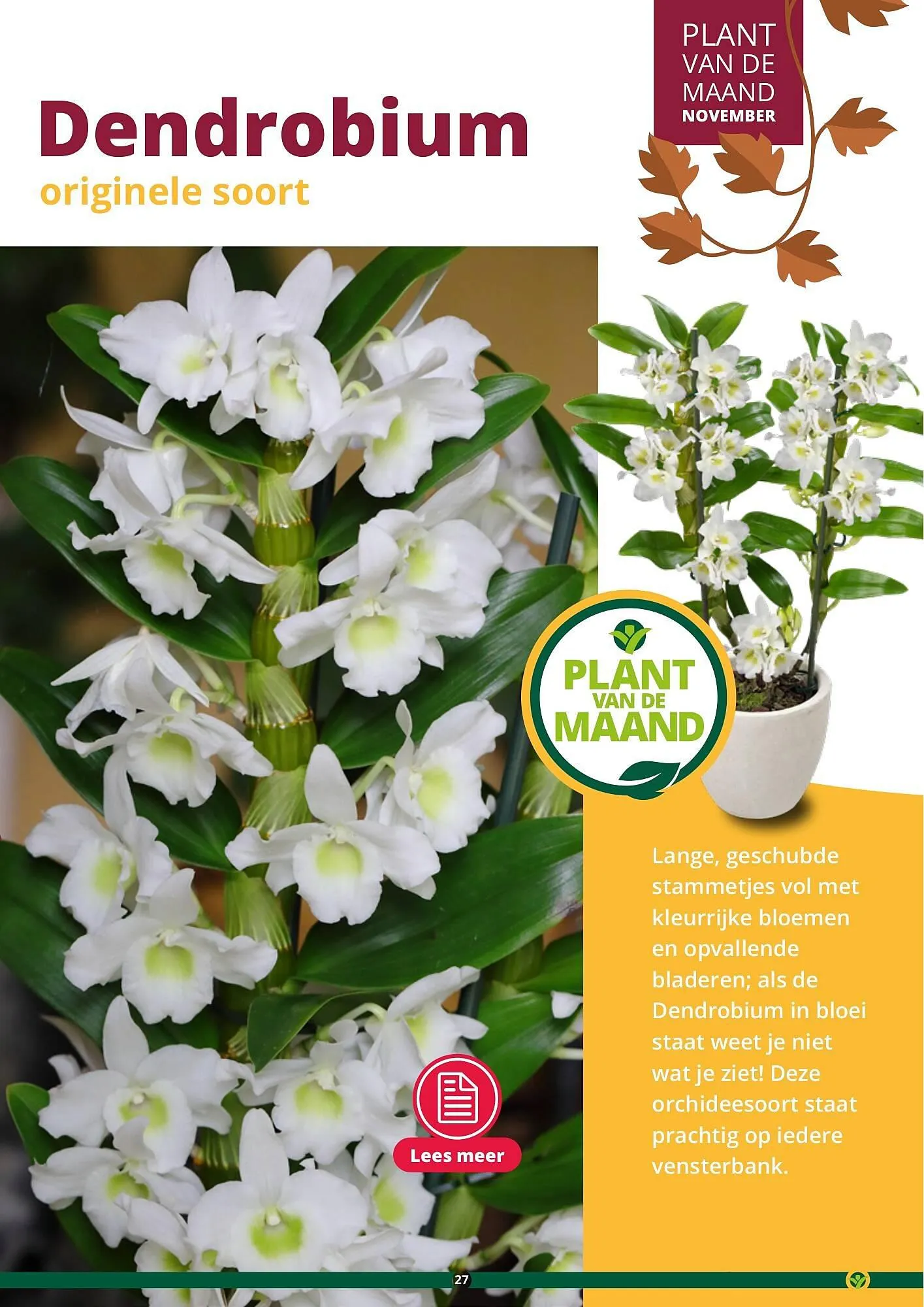 GroenRijk folder van 17 september tot 31 december 2023 - Folder pagina 27