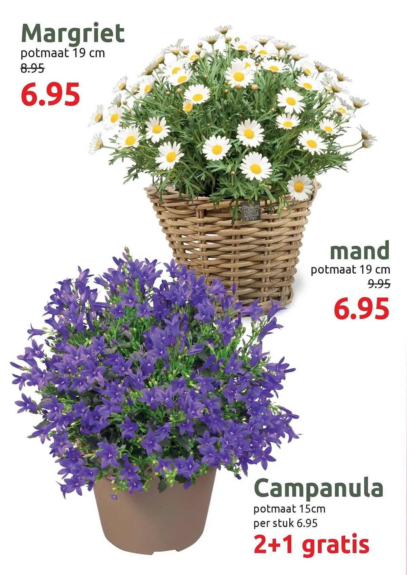 Deka Tuin folder van 17 maart tot 30 maart 2025 - Folder pagina 8