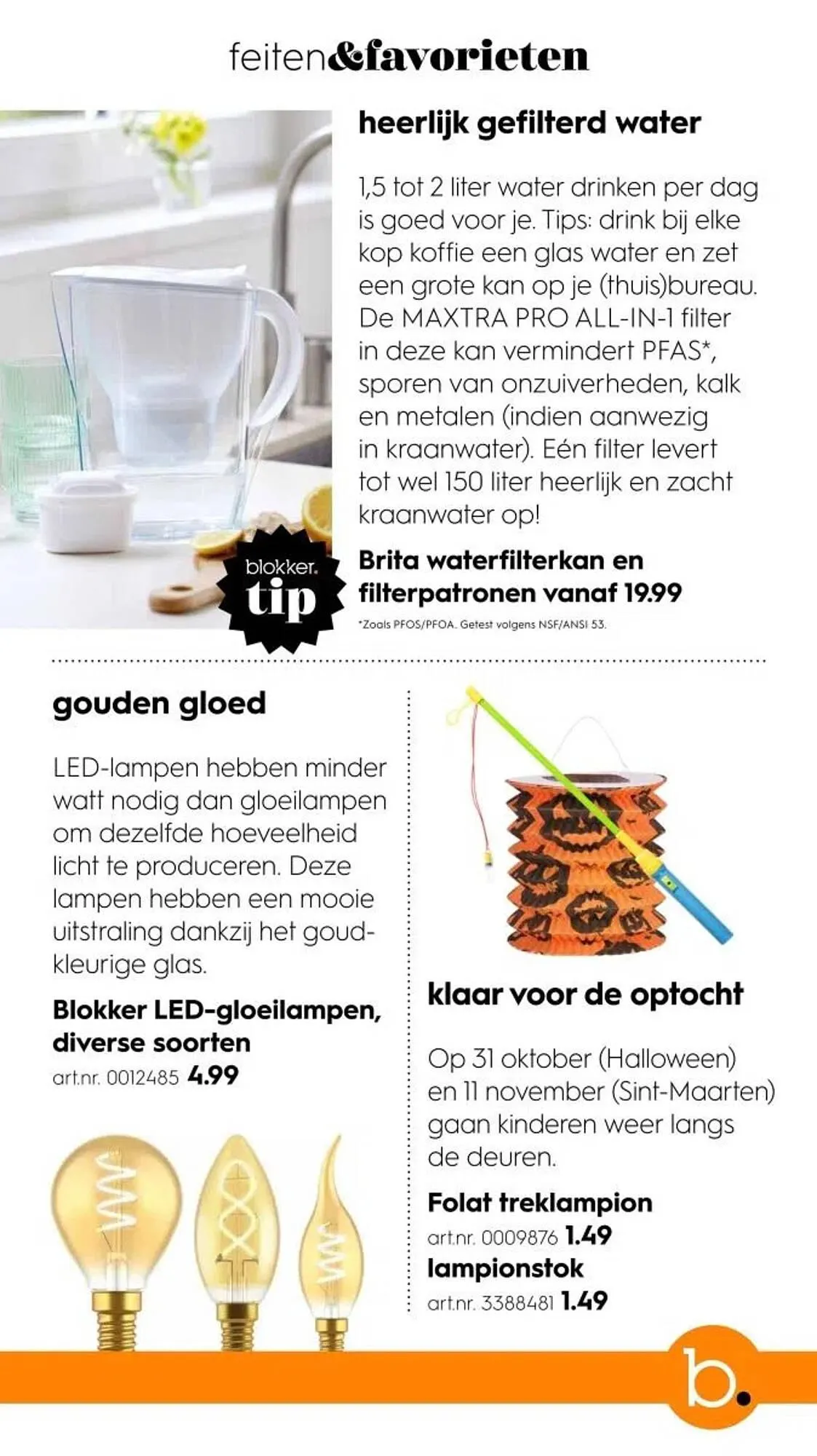 Blokker folder van 1 oktober tot 29 november 2024 - Folder pagina 3