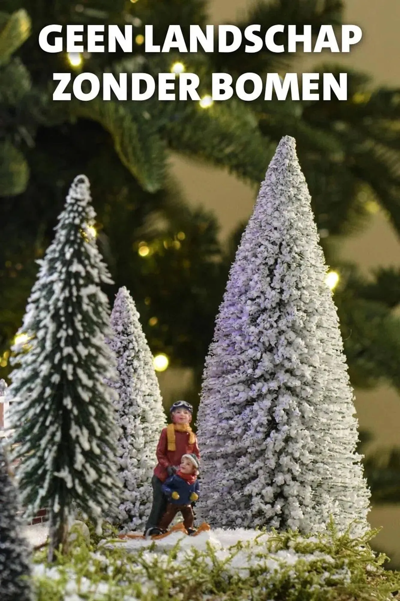 Intratuin folder van 9 oktober tot 24 december 2025 - Folder pagina 36