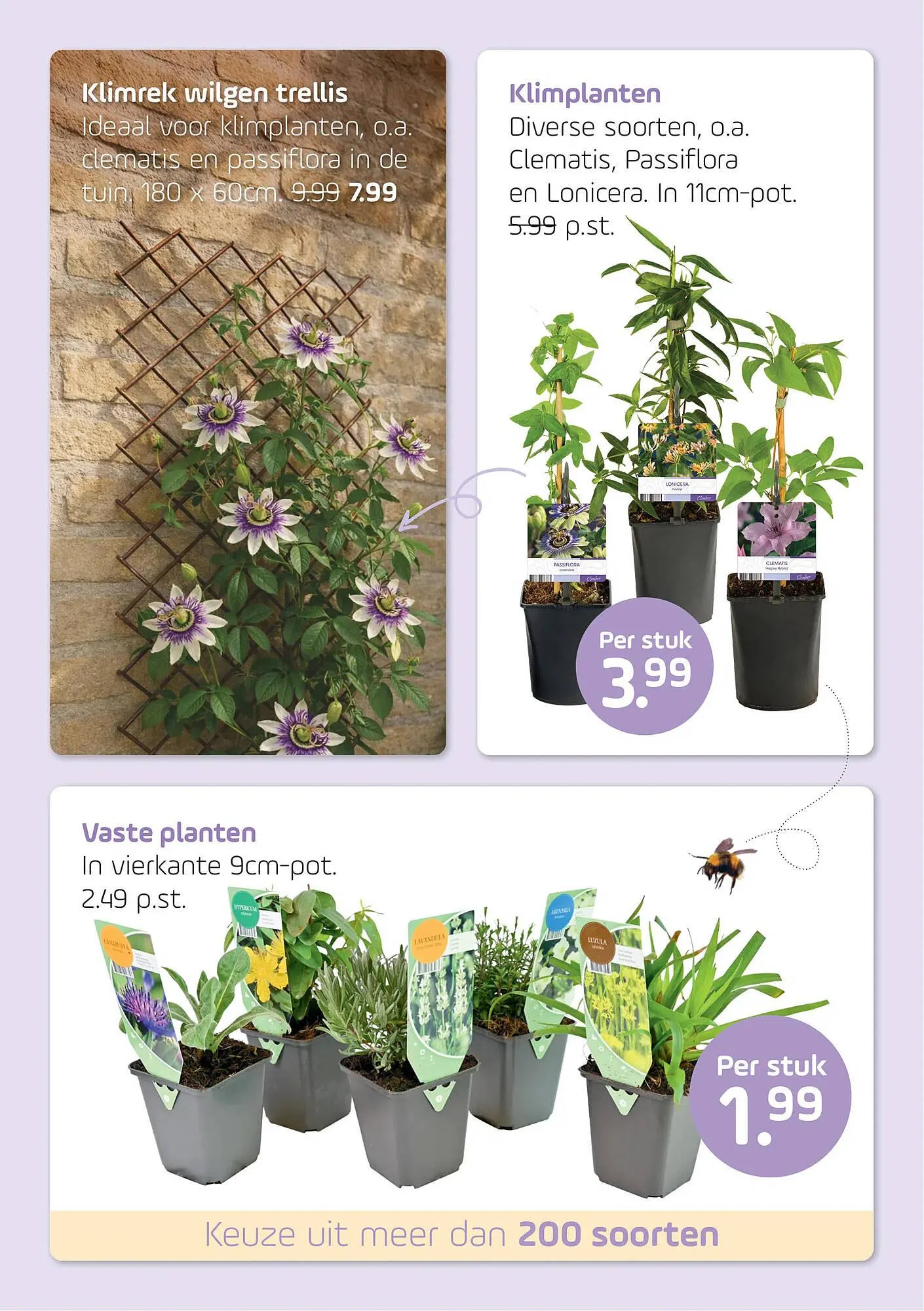 Coppelmans folder van 1 april tot 12 april 2026 - Folder pagina 7