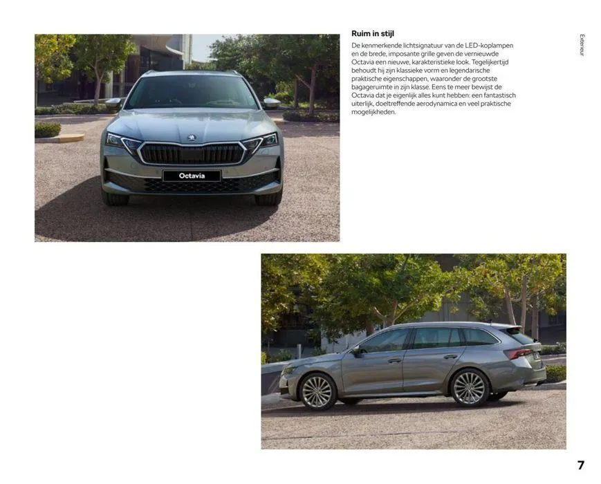 Brochure van 13 juni tot 13 juni 2025 - Folder pagina 31