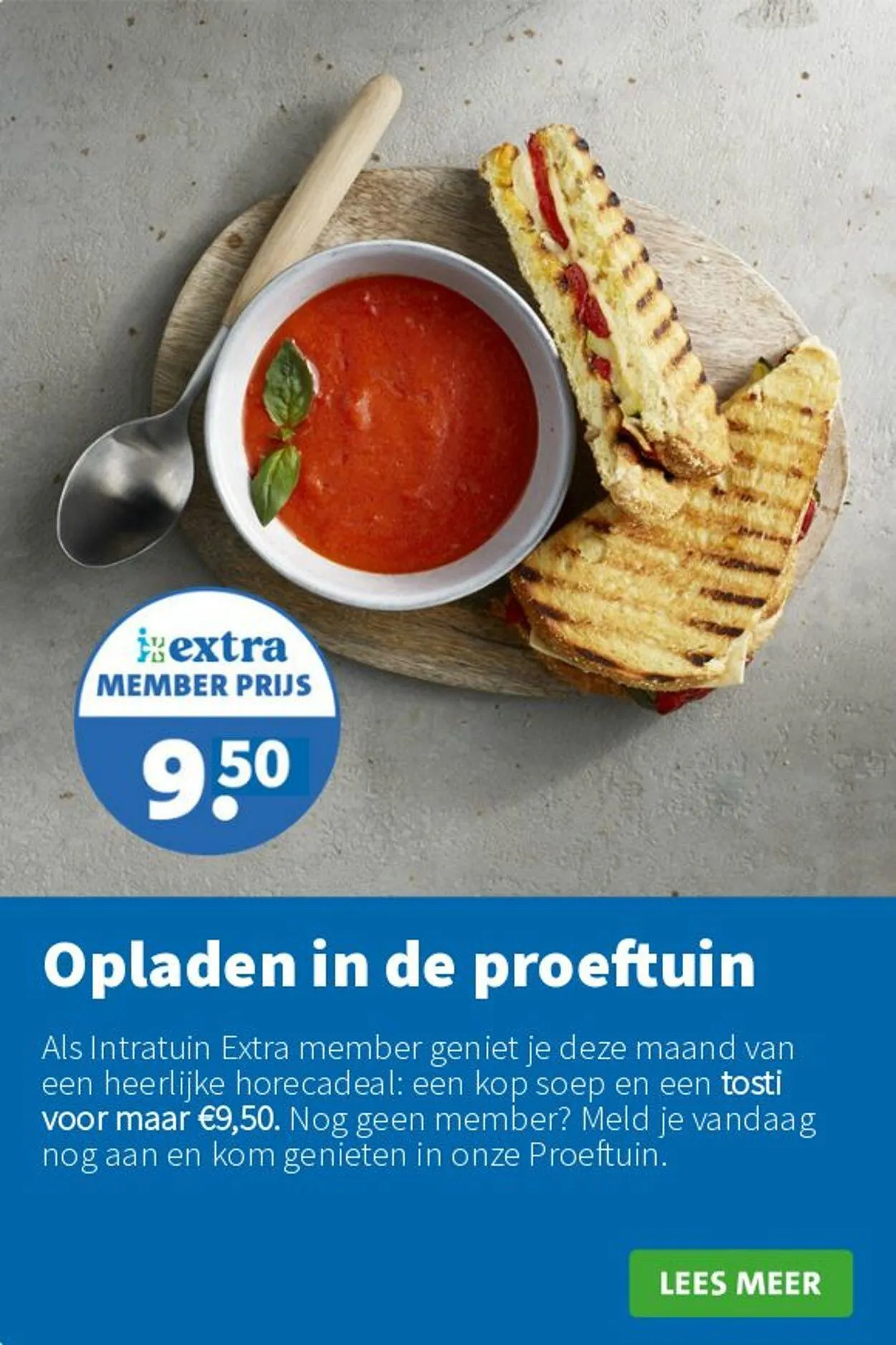 Intratuin van 12 mei tot 18 mei 2025 - Folder pagina 16