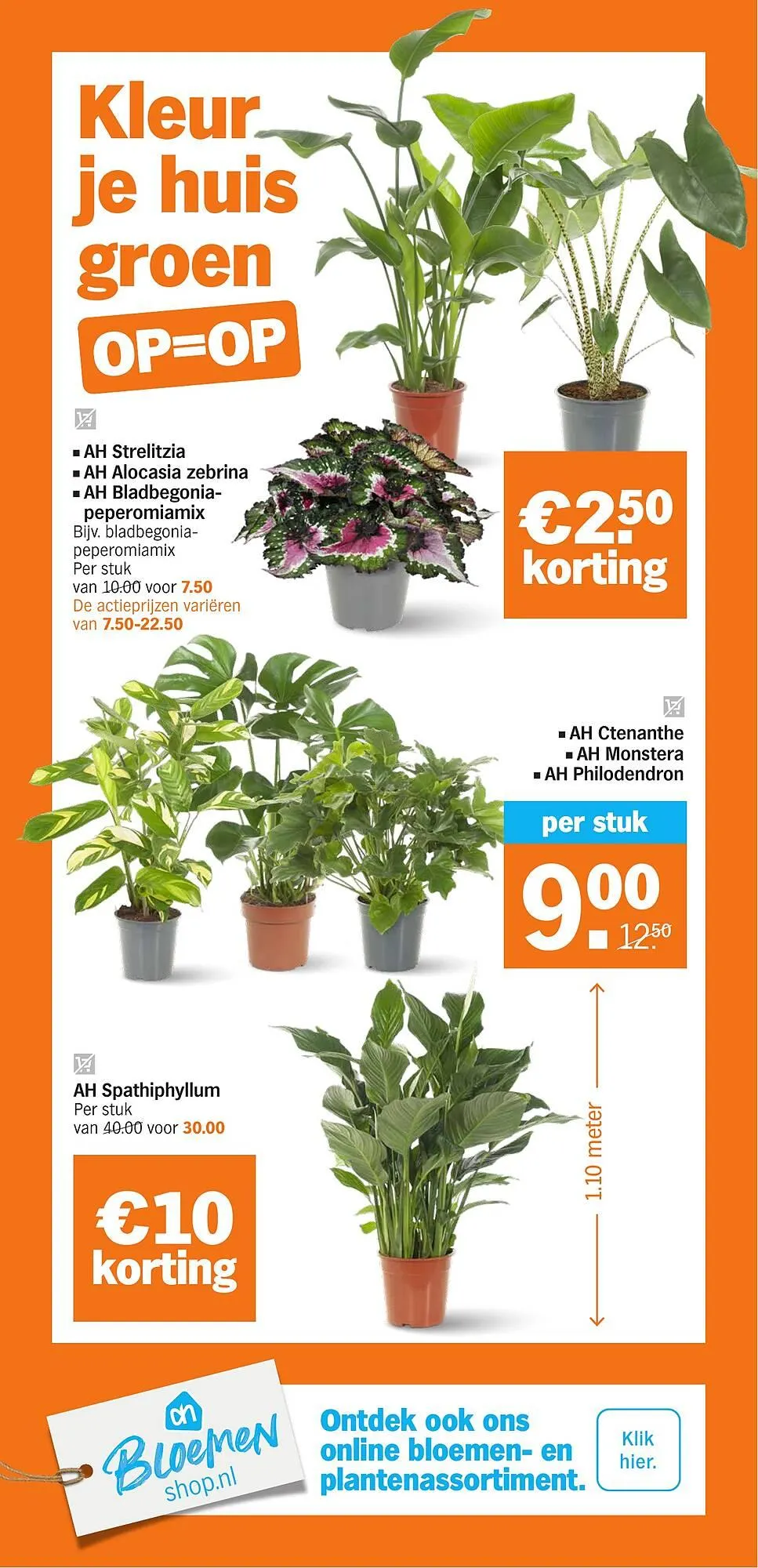 AH XL folder van 5 januari tot 11 januari 2026 - Folder pagina 37