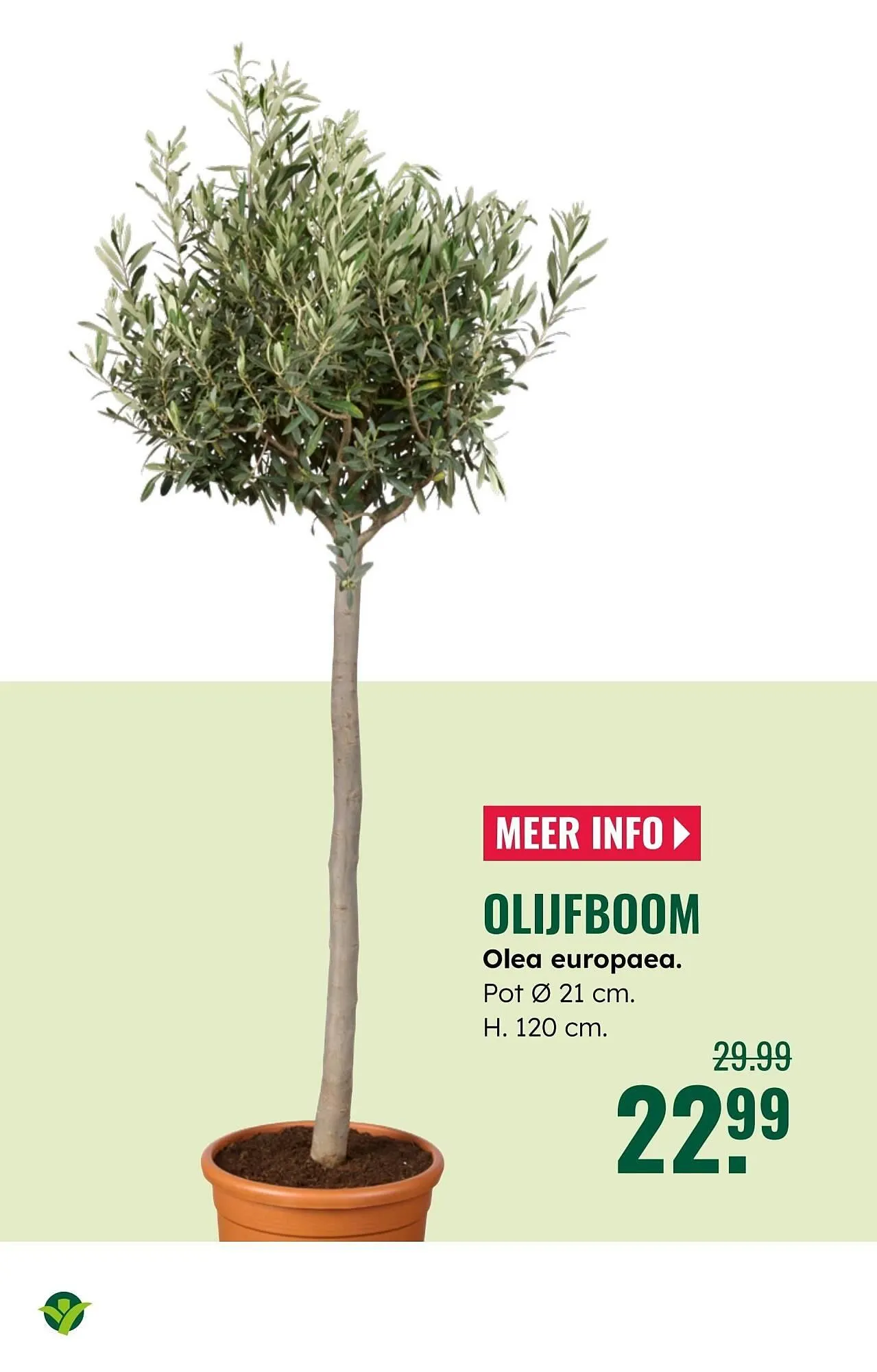 GroenRijk folder van 2 juli tot 8 juli 2025 - Folder pagina 14