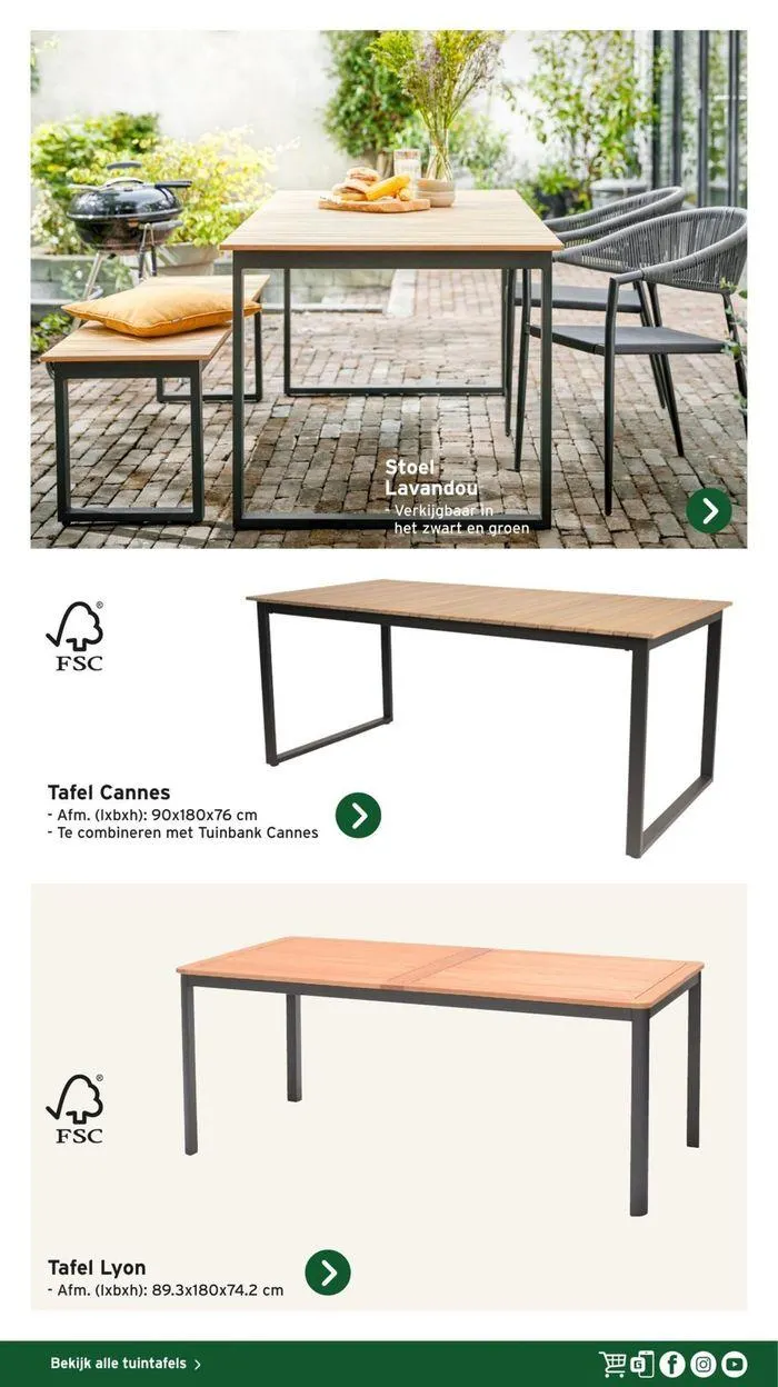 Gamma Decoratief Tuinmagazine 2024 van 4 maart tot 28 februari 2025 - Folder pagina 6