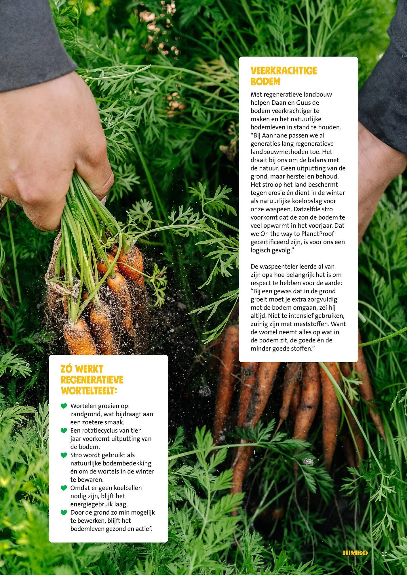 Jumbo folder van 30 juni tot 7 juli 2025 - Folder pagina 19