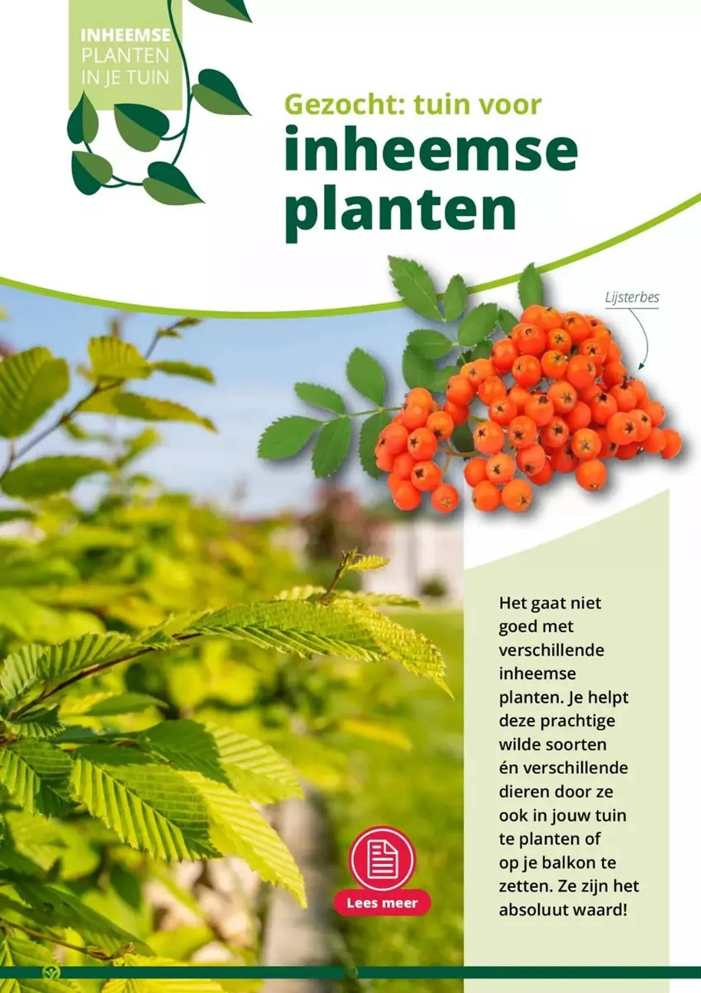 GroenRijk folder van 17 mei tot 31 augustus 2023 - Folder pagina 18