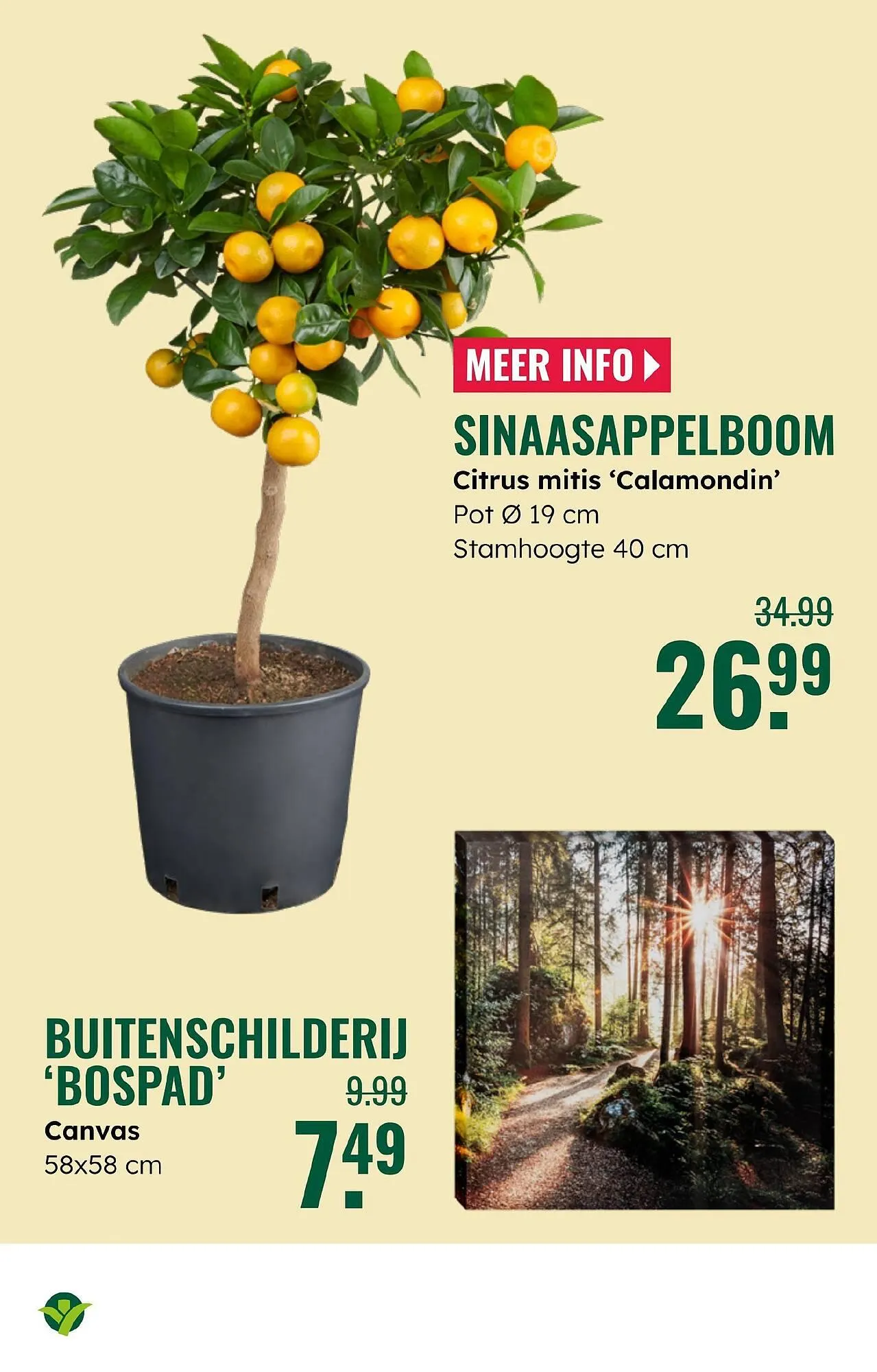 GroenRijk folder van 28 mei tot 3 juni 2025 - Folder pagina 11