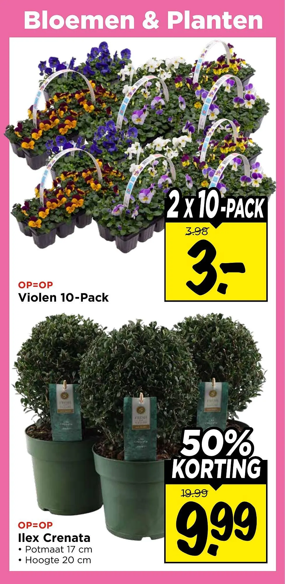 Vomar Voordeelmarkt folder van 15 maart tot 21 maart 2026 - Folder pagina 31