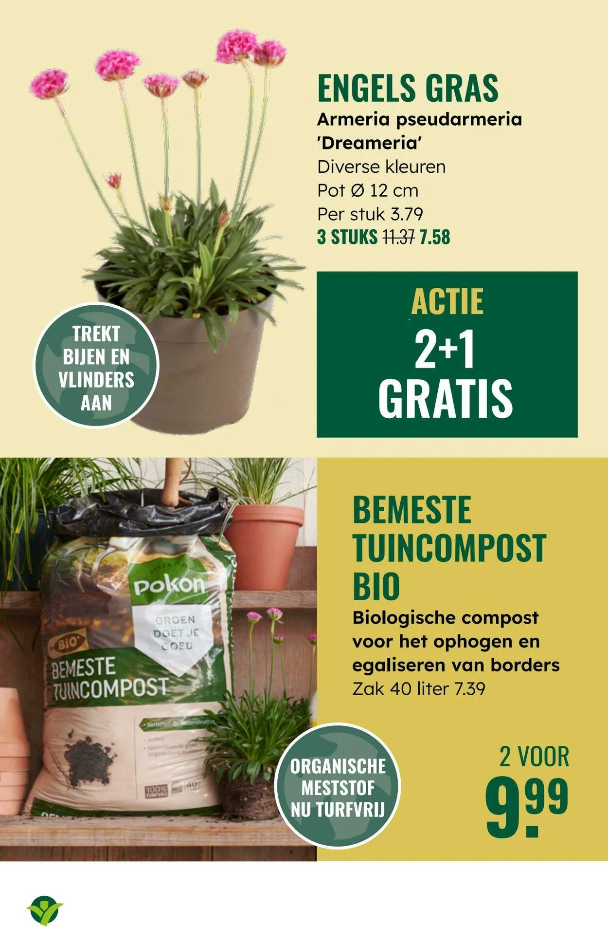 GroenRijk Actuele folder van 10 juni tot 24 juni 2025 - Folder pagina 13