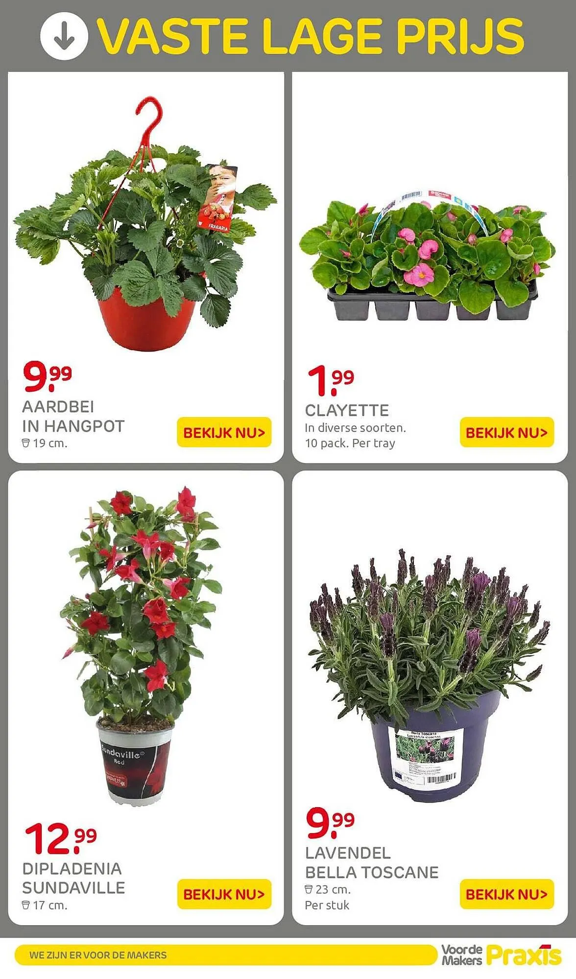 Praxis folder van 30 maart tot 12 april 2026 - Folder pagina 27