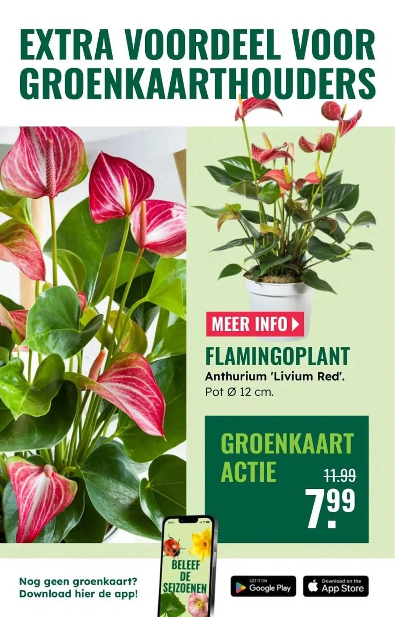 GroenRijk folder van 30 december tot 7 januari 2026 - Folder pagina 7