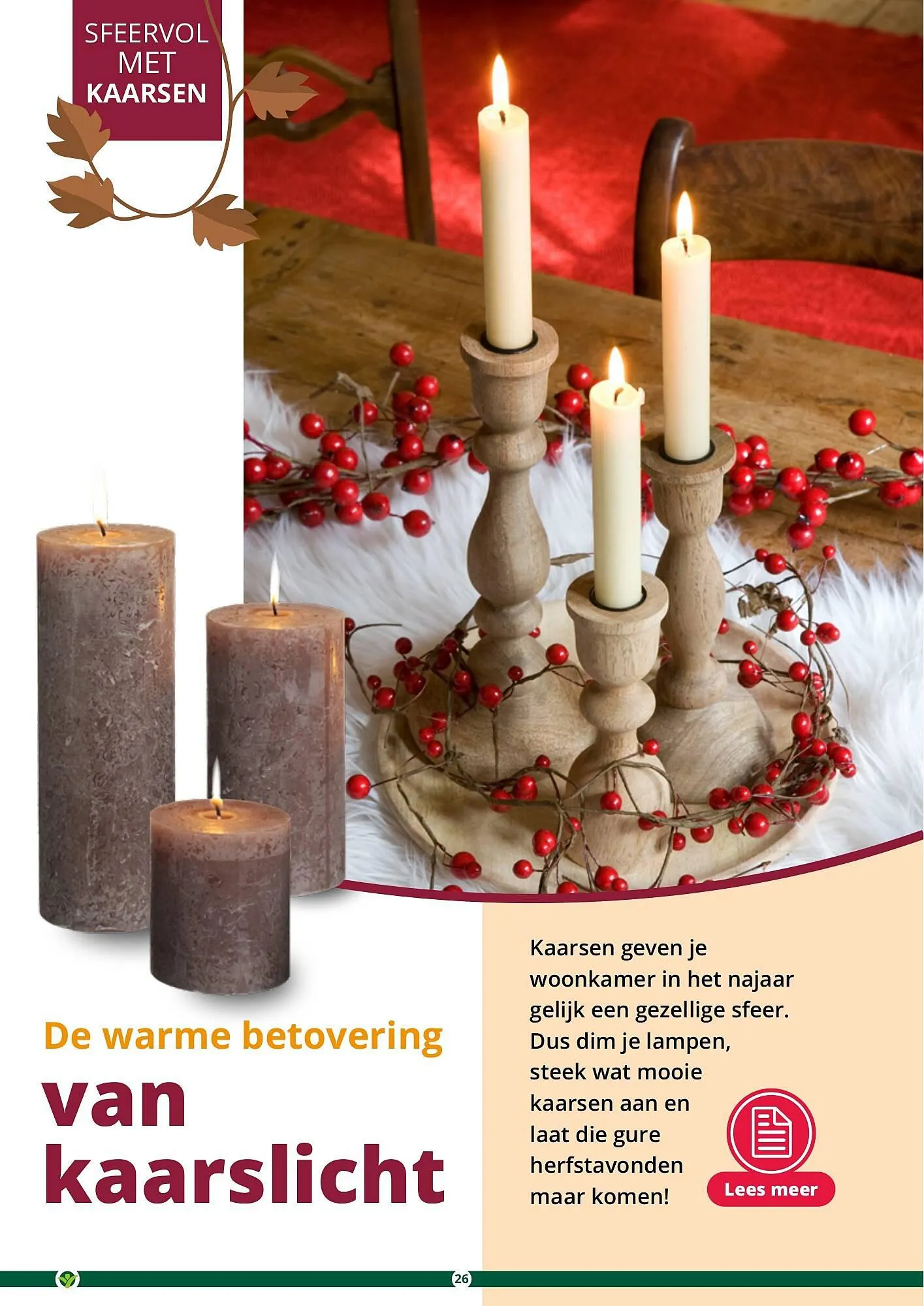 GroenRijk folder van 17 september tot 31 december 2023 - Folder pagina 26