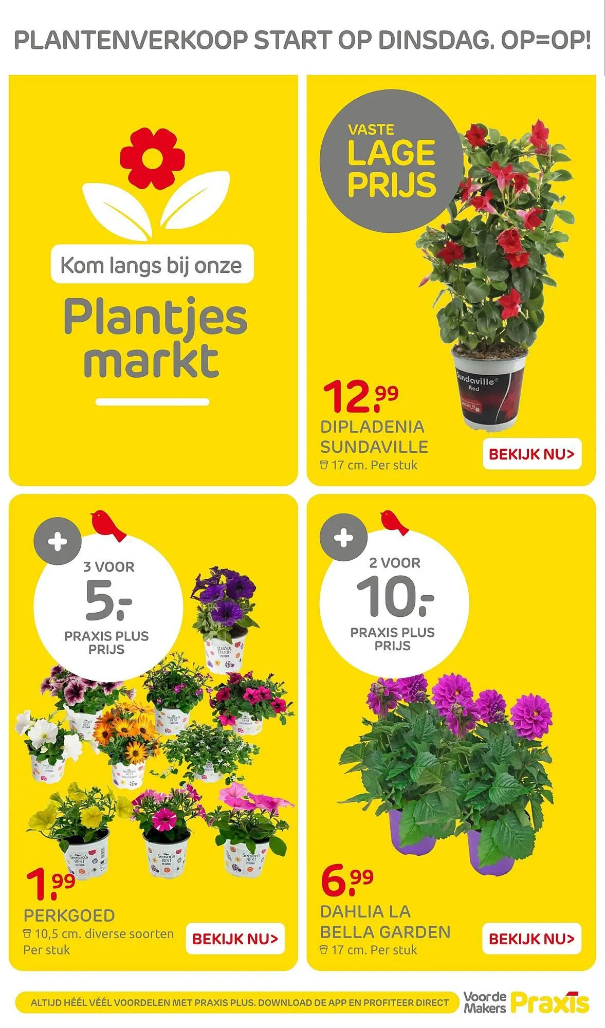 Praxis folder van 27 april tot 27 april 2026 - Folder pagina 4