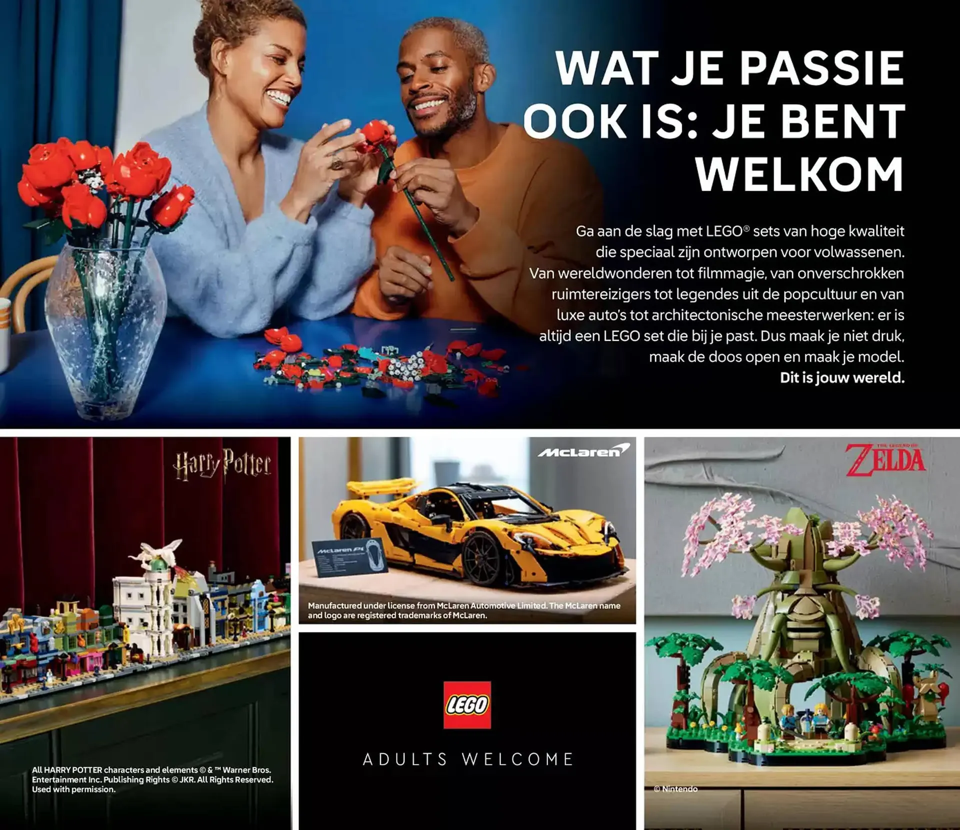 LEGO folder van 3 januari tot 30 juni 2025 - Folder pagina 149