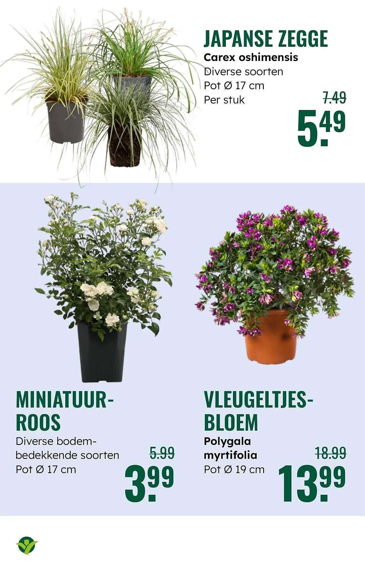 GroenRijk folder van 26 maart tot 1 april 2025 - Folder pagina 12