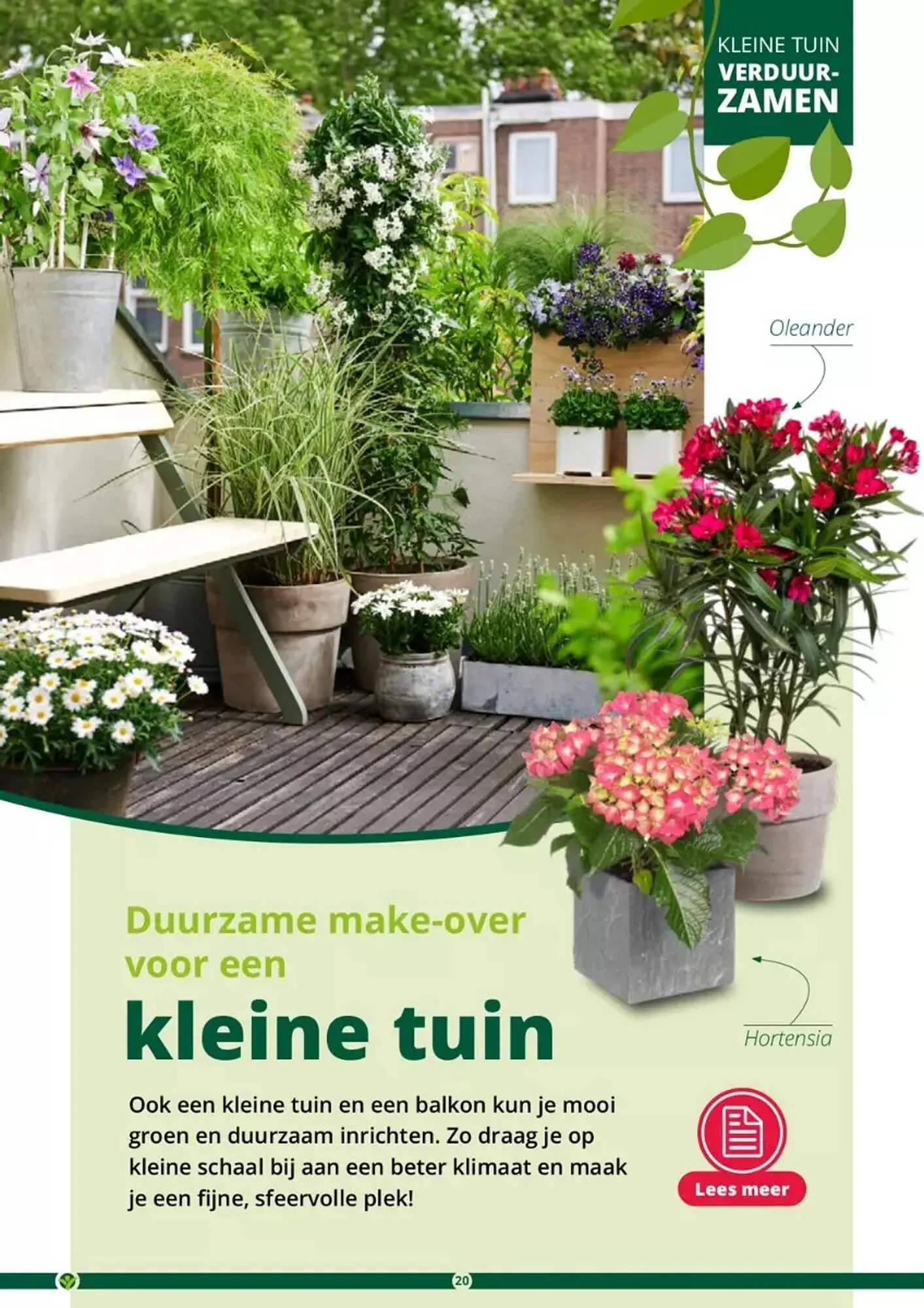 GroenRijk folder van 17 mei tot 31 augustus 2023 - Folder pagina 20