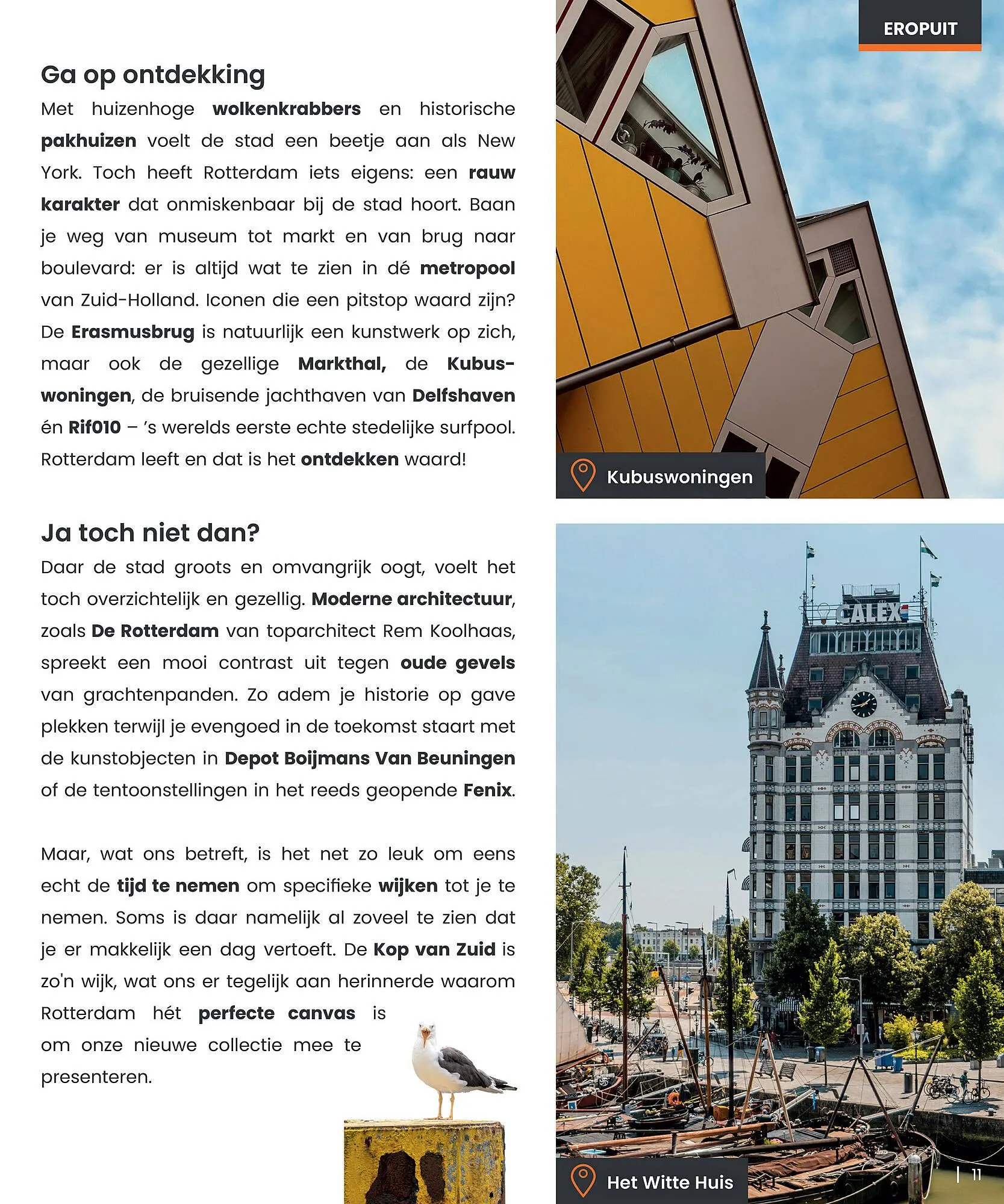 Van Dal Mannenmode folder van 19 september tot 31 oktober 2025 - Folder pagina 11