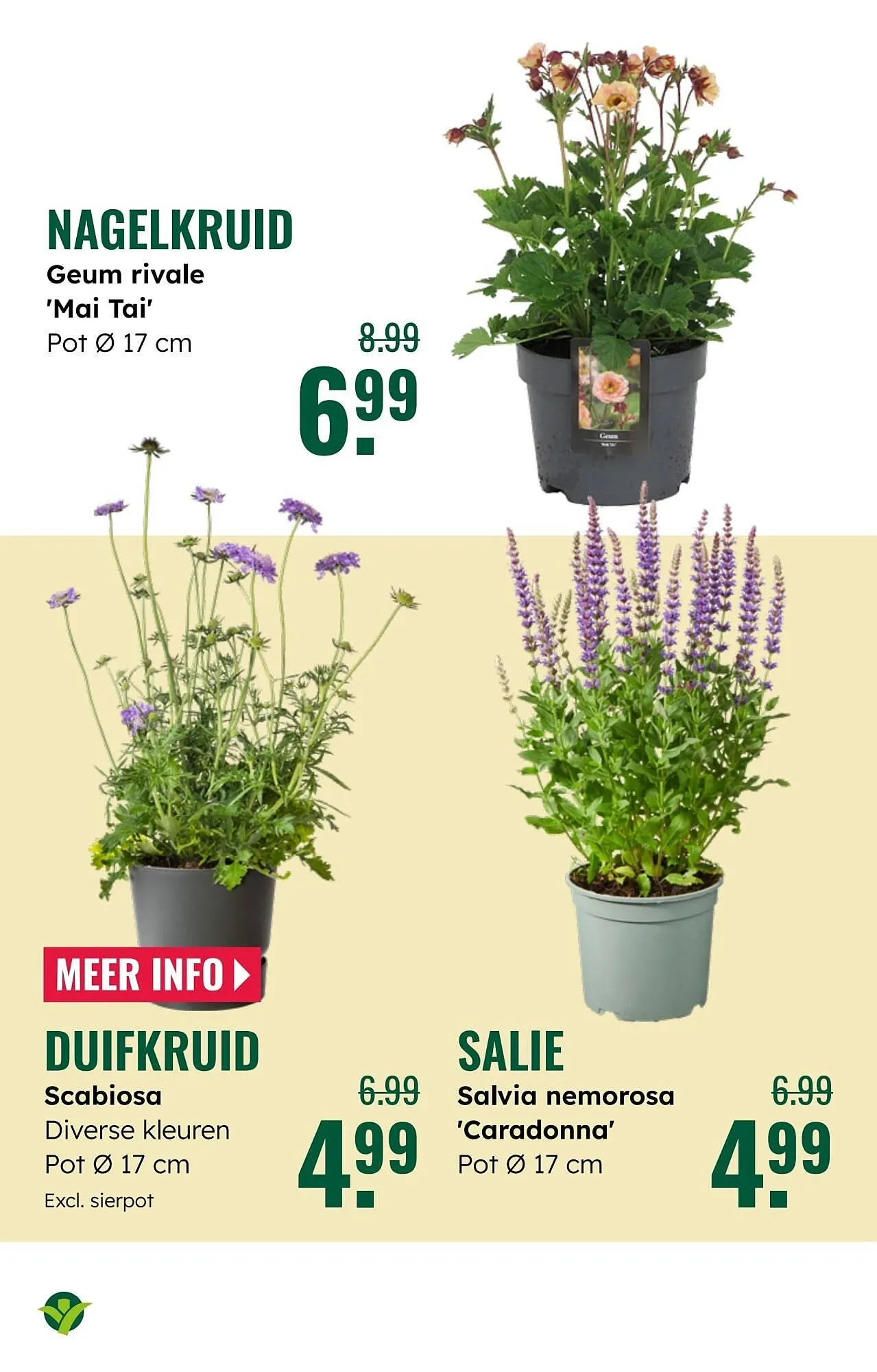 GroenRijk folder van 7 mei tot 13 mei 2025 - Folder pagina 17