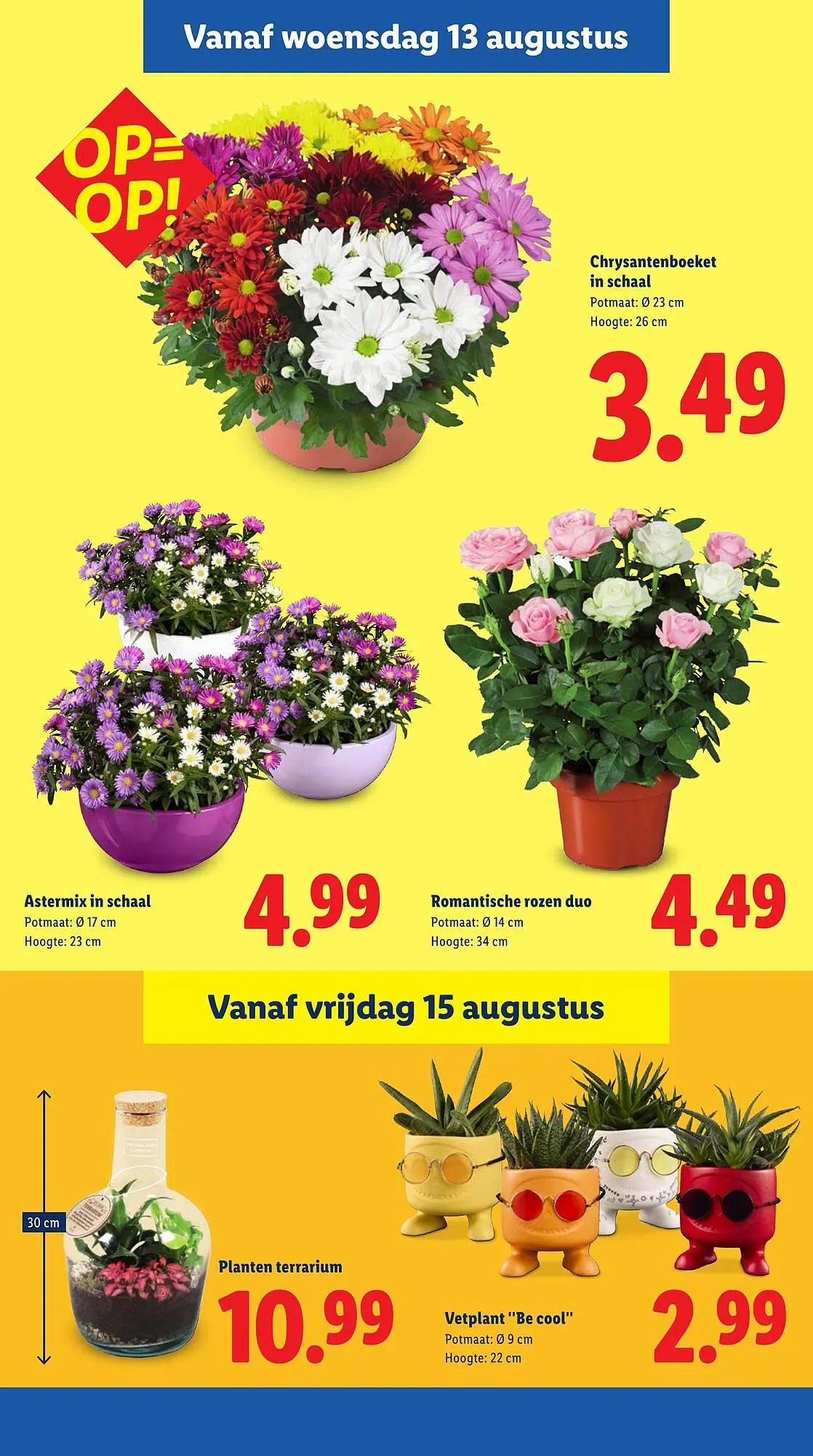 Lidl folder van 11 augustus tot 17 augustus 2025 - Folder pagina 17