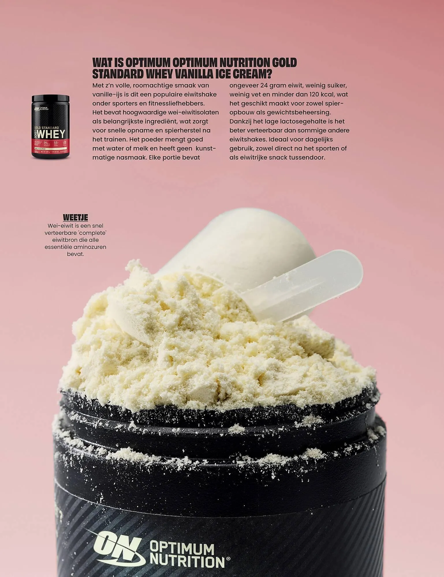 Albert Heijn magazine van 22 augustus tot 2 november 2025 - Folder pagina 73