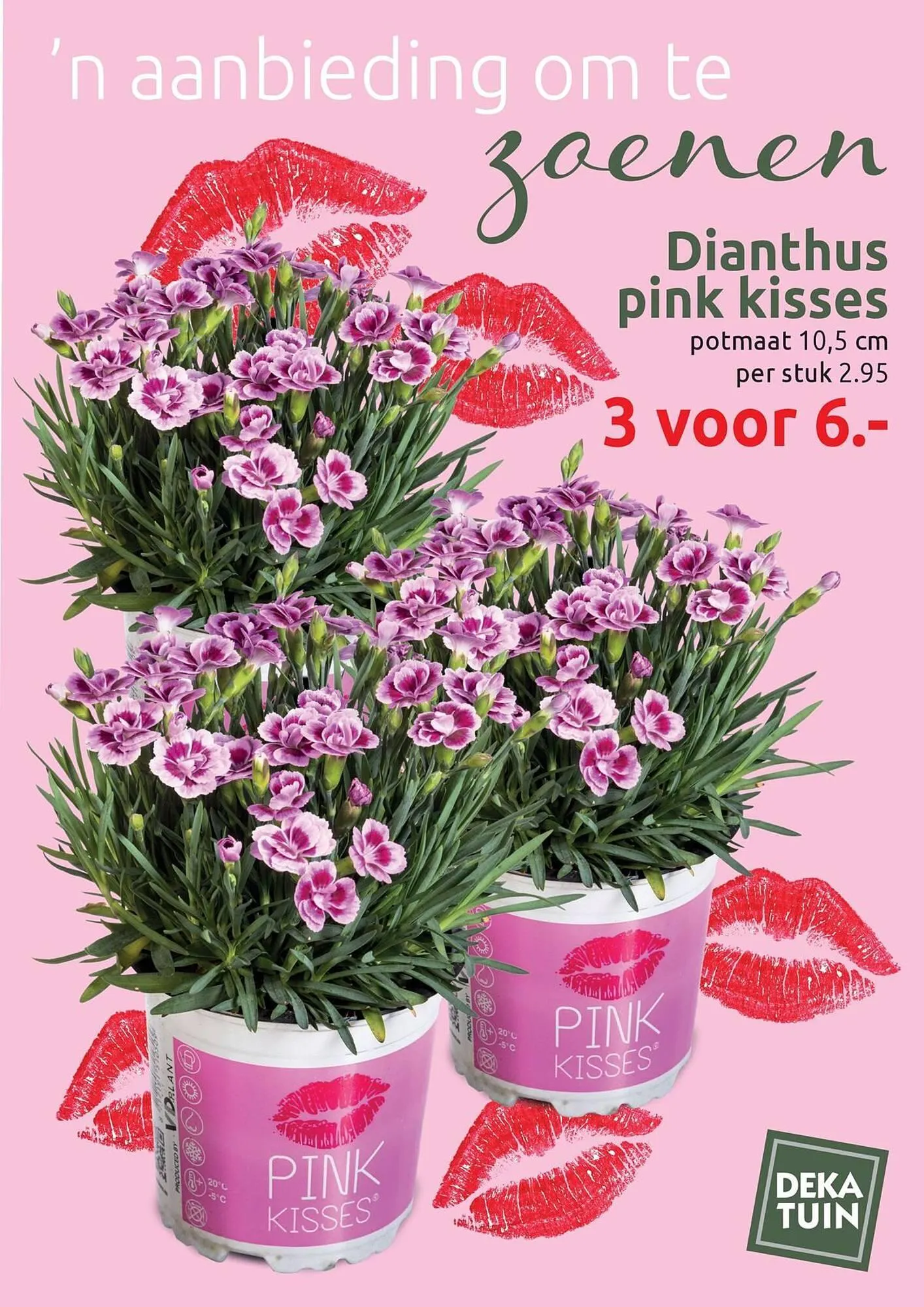 Deka Tuin folder van 17 maart tot 30 maart 2025 - Folder pagina 9