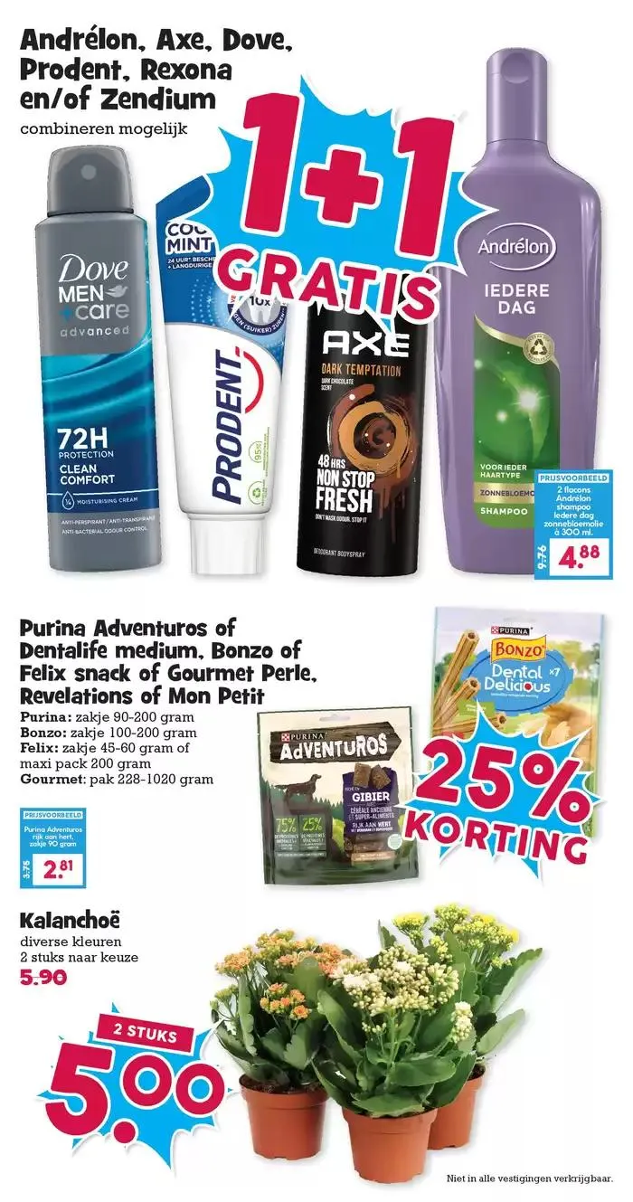 Actiefolder Boon's Markt van 10 januari tot 17 januari 2025 - Folder pagina 11