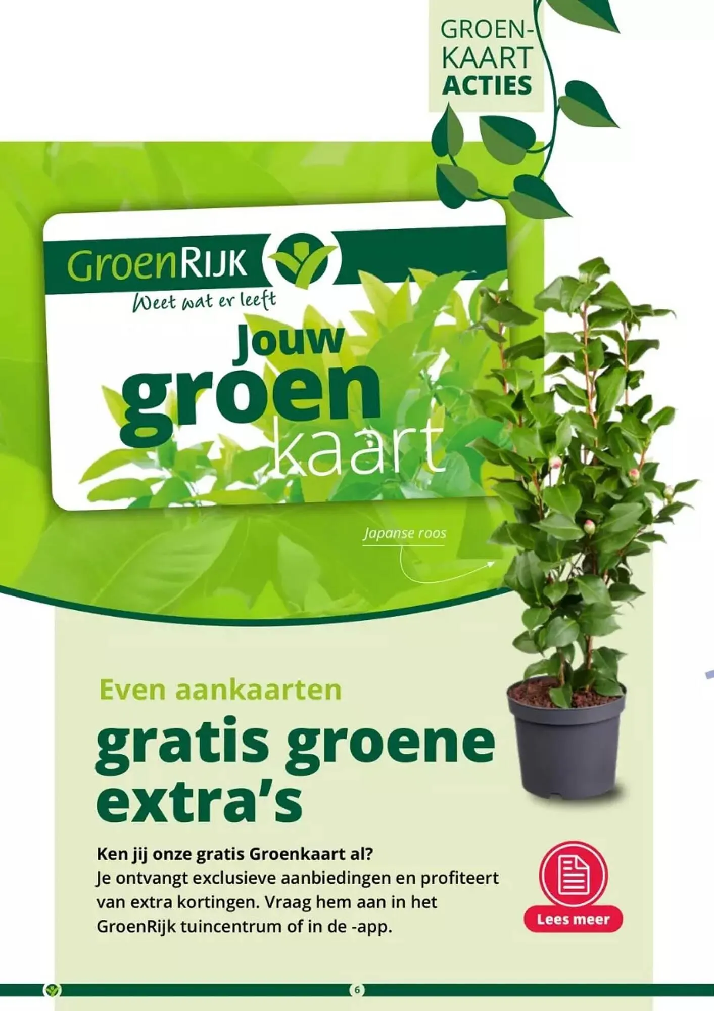 GroenRijk folder van 17 mei tot 31 augustus 2023 - Folder pagina 6